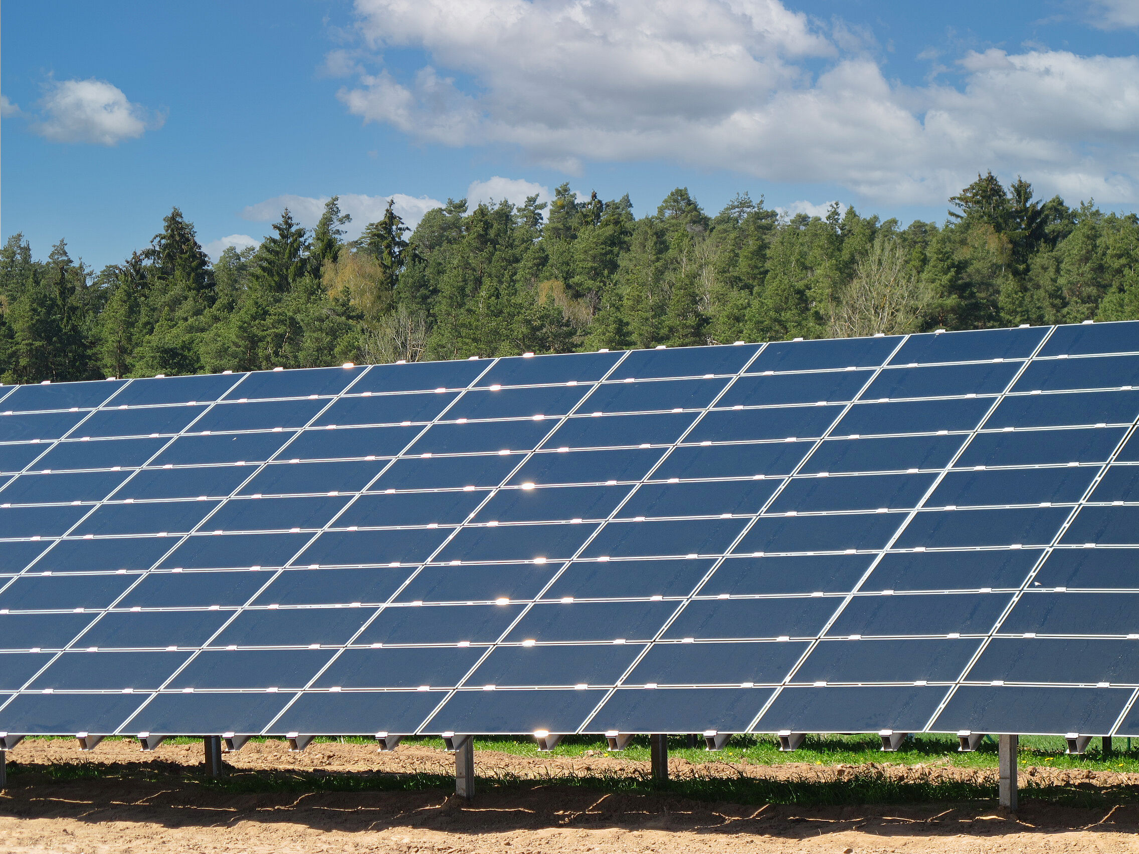 Eine Freiflächensolaranlage am Waldrand zählt auch zu den Erneuerbaren Energien: Photovoltaikanlagen können in Bauten integriert werden oder auf freiem Feld errichtet werden – hier gilt es, weder Landschaft noch landwirtschaftliche Nutzung zu beeinträchtigen. (Foto: Wolfgang Horlacher)