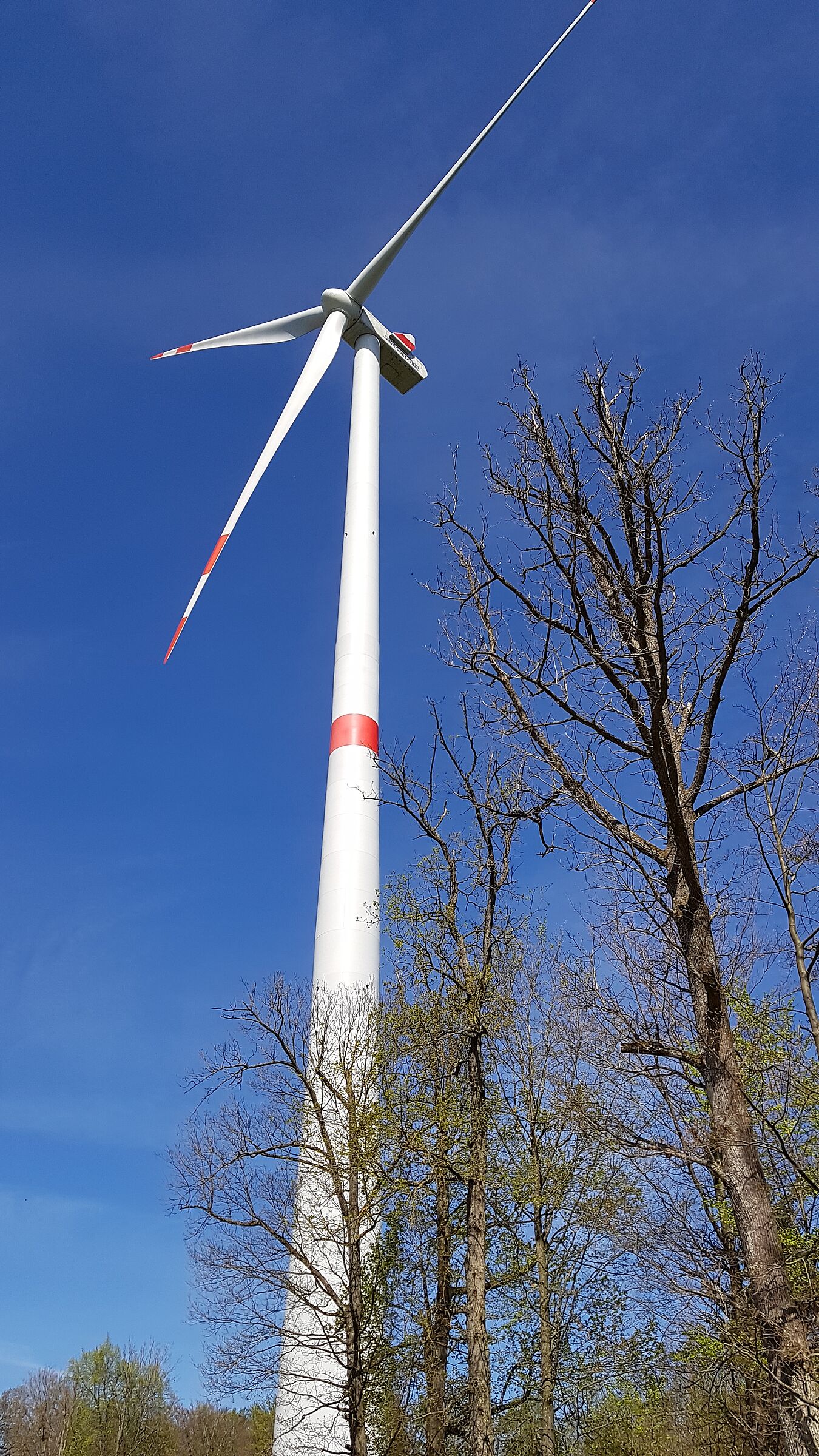 Eine Windkraftanlage vor blauem Himmel: Windkraft ist eine der wichtigsten erneuerbaren Energiequellen (Foto: Cornelia Schlosser)