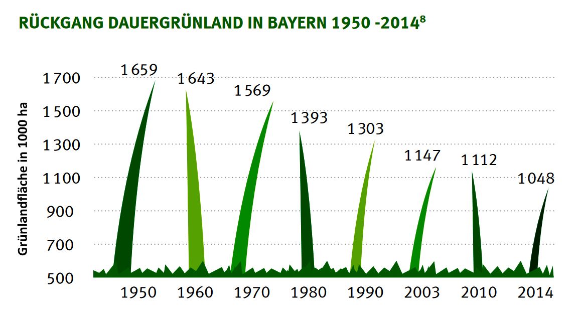 Artenvielfalt Landwirtschaft: Eine Grafik zeigt, dass das Grünland in Bayern zwischen 1950 und 2014 rapide abgenommen hat