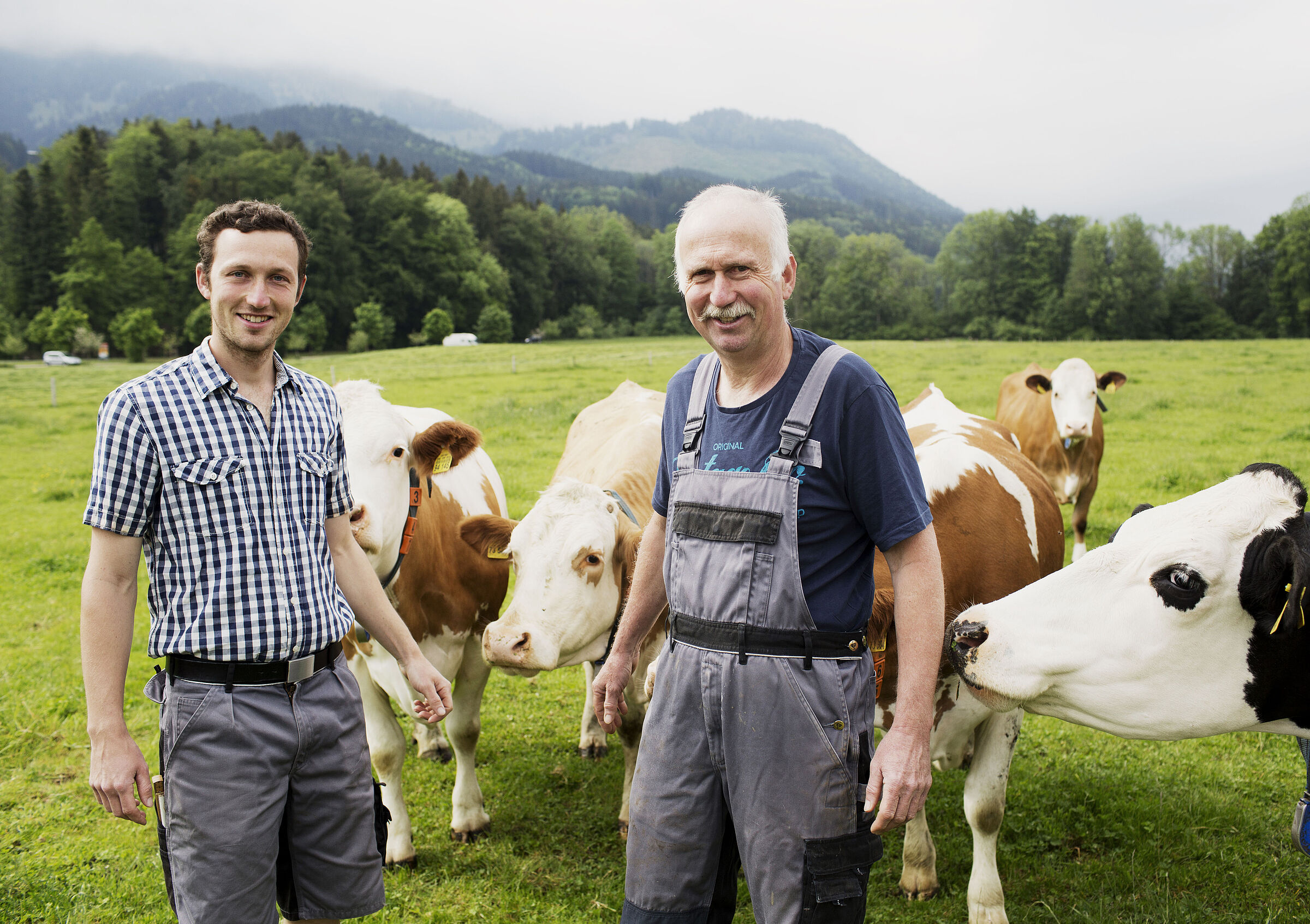 Junior- und Seniorlandwirt stehen in Arbeitskleidung auf der Weide bei ihren Kühen.