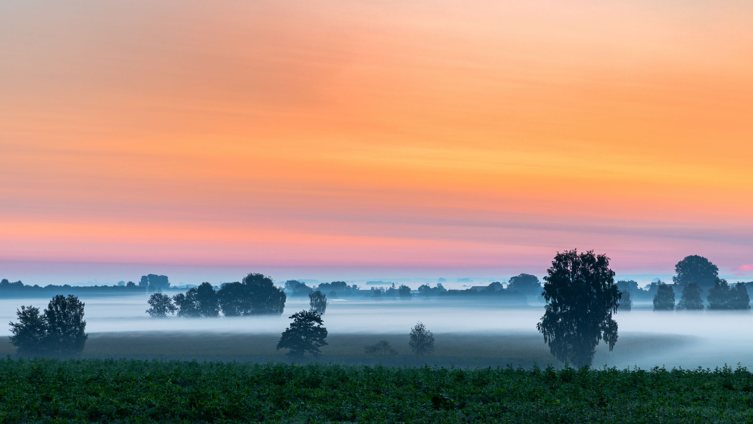 Morgenrot über dem Donaumoos, bodennah ziehen Nebelschwaden zwischen einzelnen Baumgruppen (Foto: nemo1963/stock.adobe.com)
