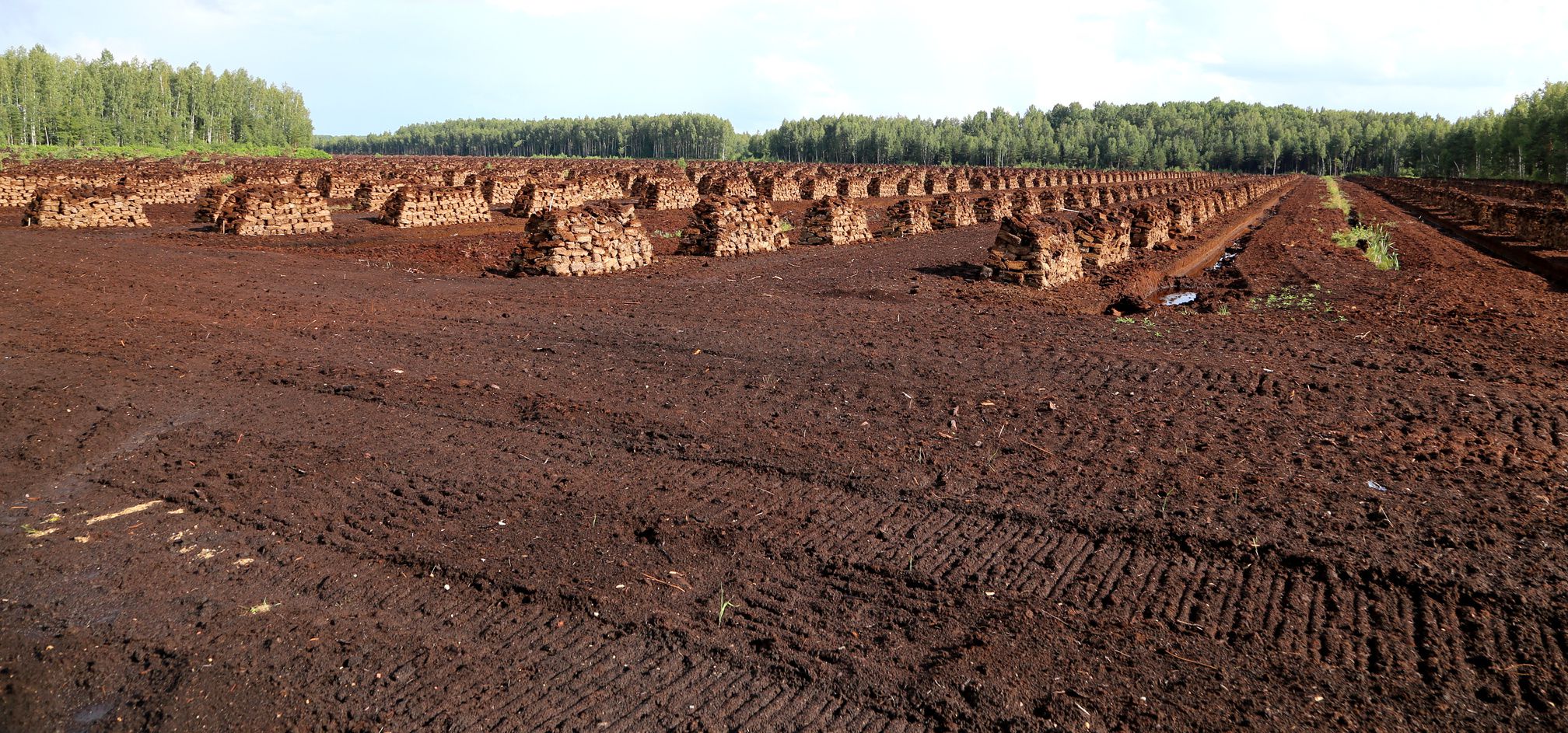 Moorzerstörung im großen Stil – hier Torfabbau in Lettland