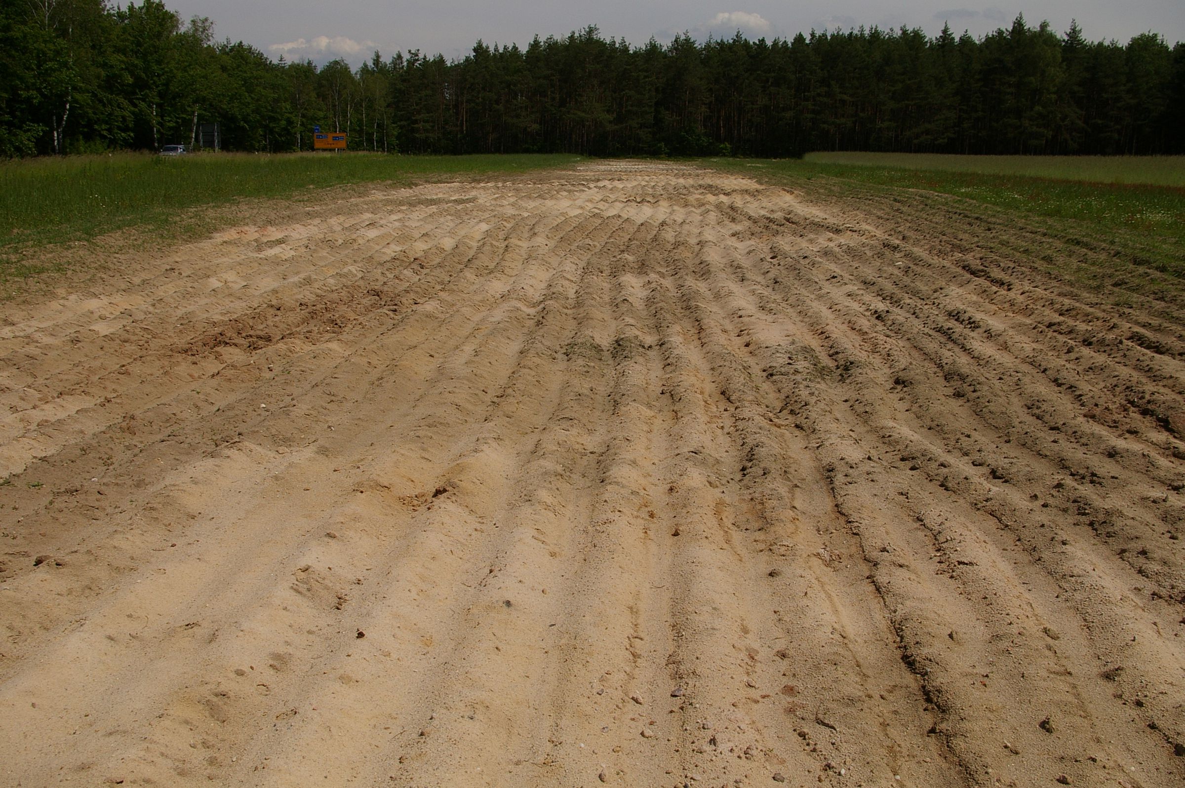 Sandlebensräume in Bayern - Sandacker