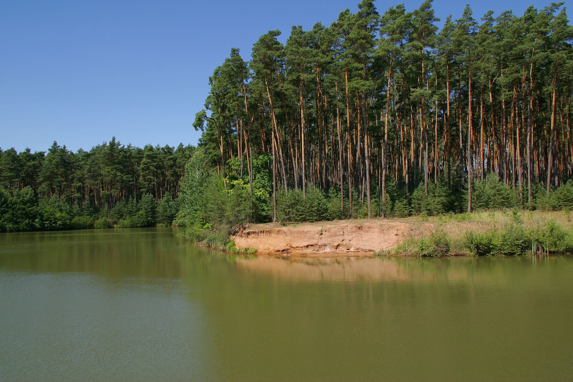 Sand-Lebensräume in Bayern – hier eine Sand-Steilwand am Gewässer im Haider Sandgebiet