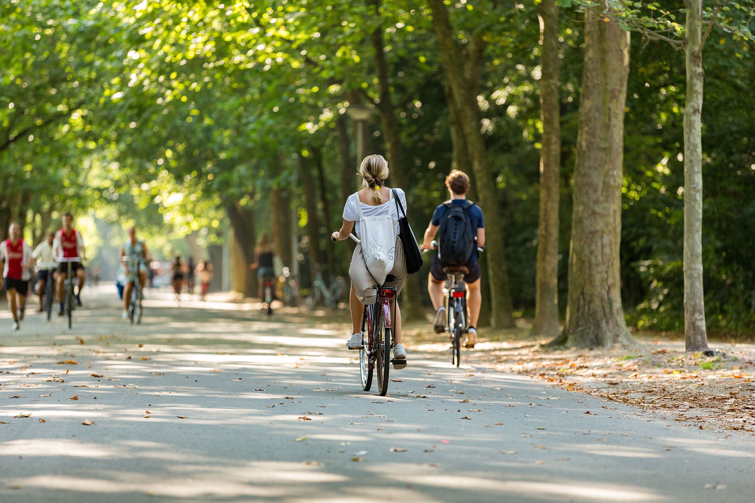 Radfahrer in einem Park mit vielen Stadtbäumen