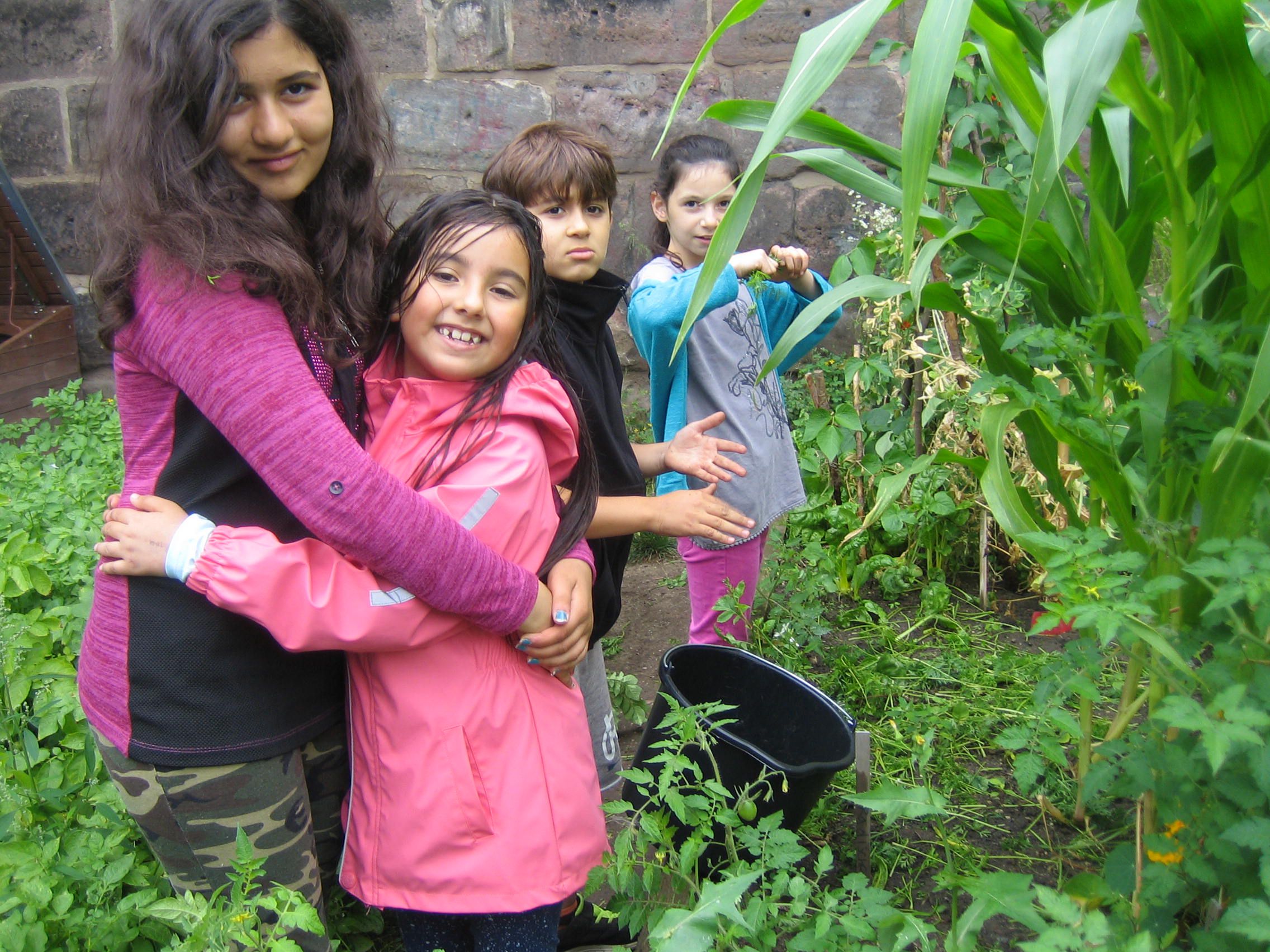 Urban Gardening: Kinder ernten Gemüse im Urban Gardening Projekt „Auf der Mauer“