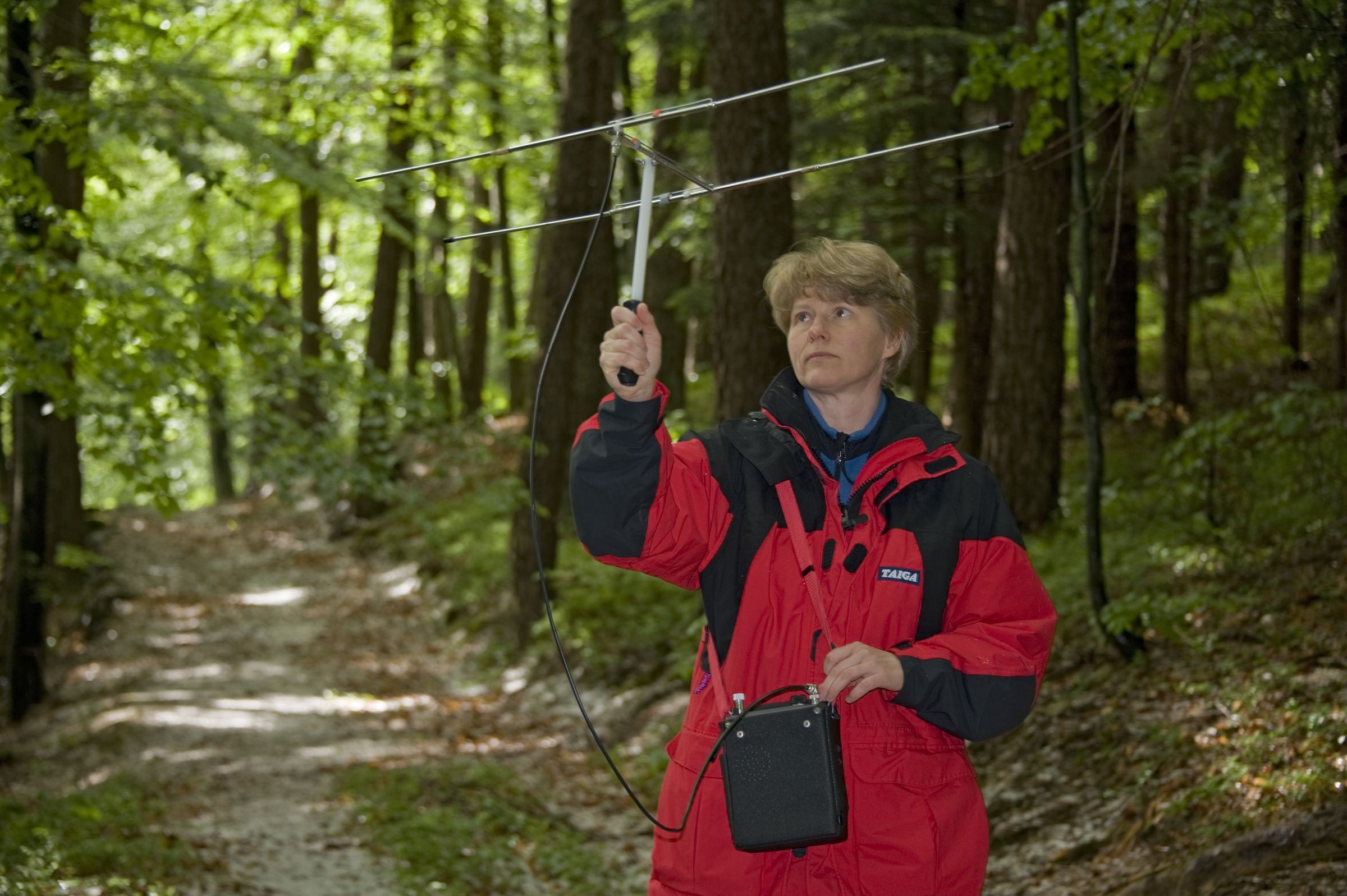 Erosion der Artenkenner: Eine Artenkennerin hält eine Antenne in die Luft. Sie telemetriert einen Luchs.