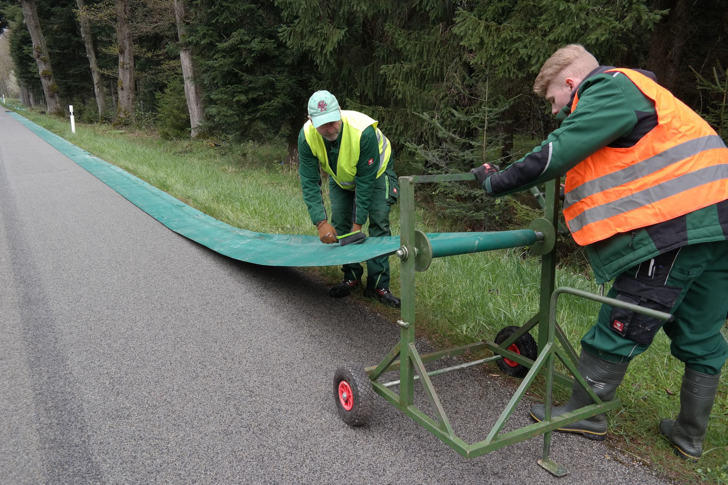 Zwei BN-Aktive rollen einen Amphibienschutzzaun mithilfe einer neu entwickelten Vorrichtung auf.