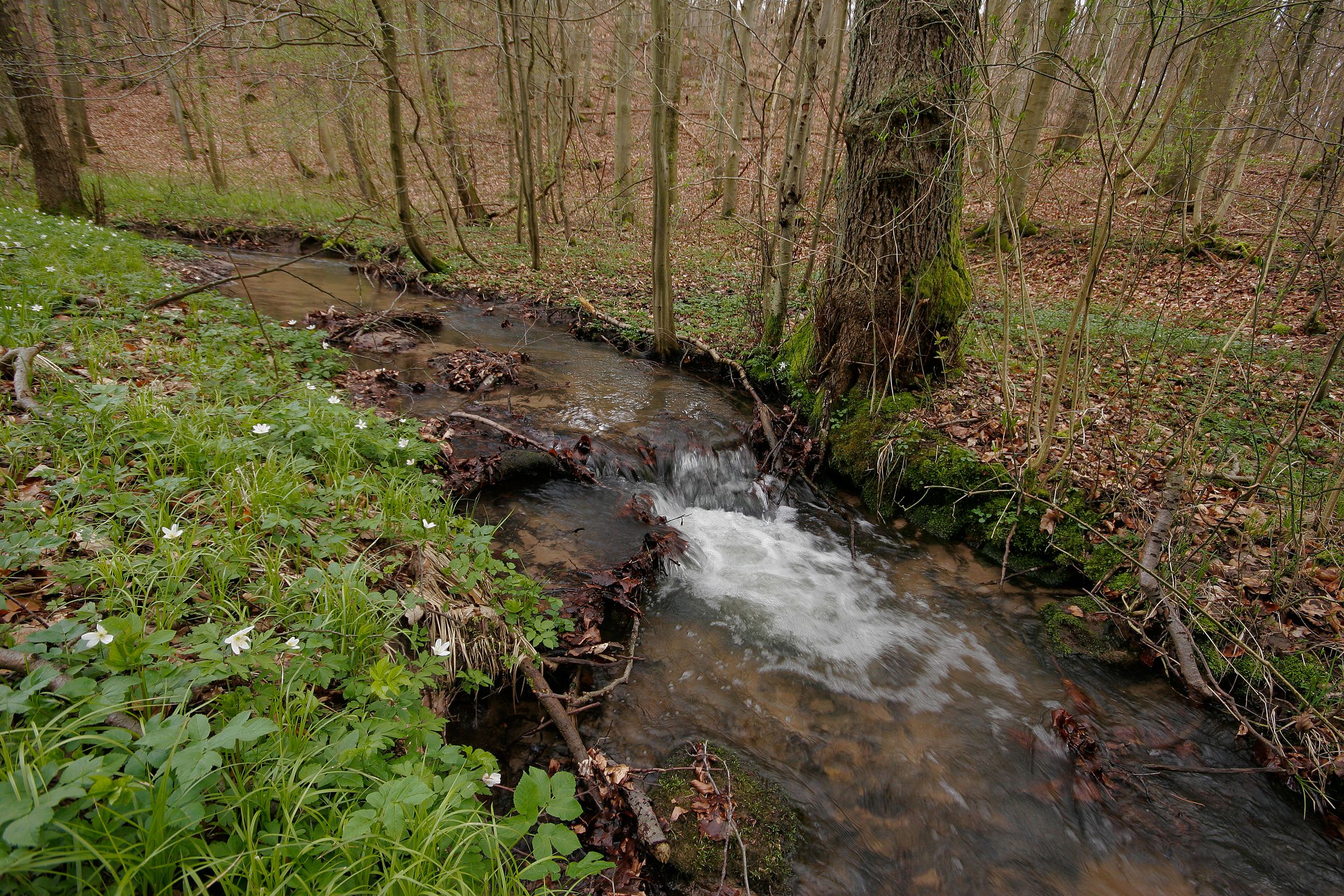 amphibien schutzen praxis tipps vom bund naturschutz
