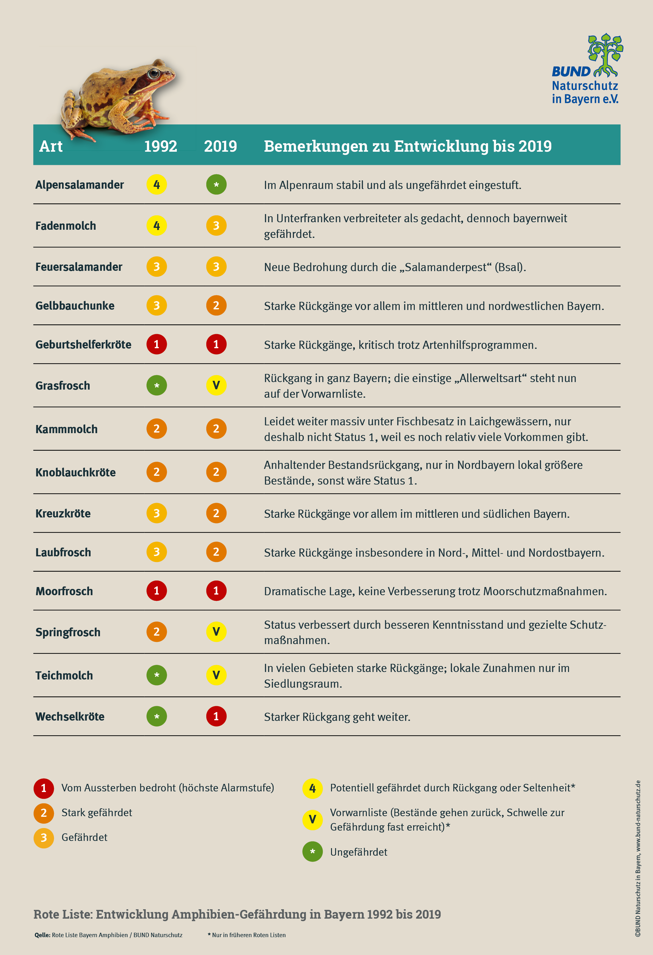 Die Tabelle zeigt, wie sich die Gefährdung von Amphibien nach Roter Liste von 1992 auf 2019 entwickelt hat. (Grafik: BUND Naturschutz)