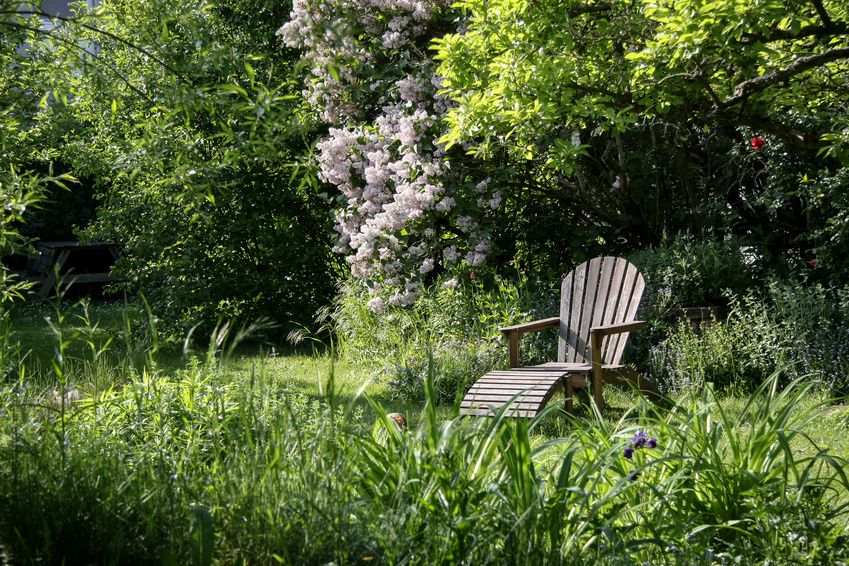 Ein Liegestuhl steht auf einer ungemähten Rasenfläche, umgeben von zahlreichen Bäumen und Sträuchern. Schützen Sie Amphibien im Gartenteich und rund ums Haus! (Foto: Christine Kuchem/Fotolia) 