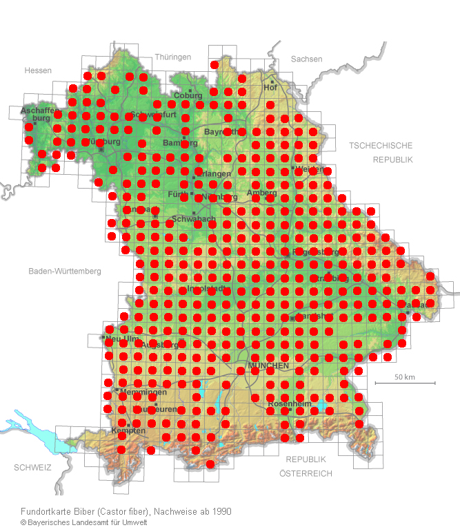 Karte Biber Verbreitung Bayern (Quelle: Bayerisches Landesamt für Umwelt, Stand 31.7.2018)