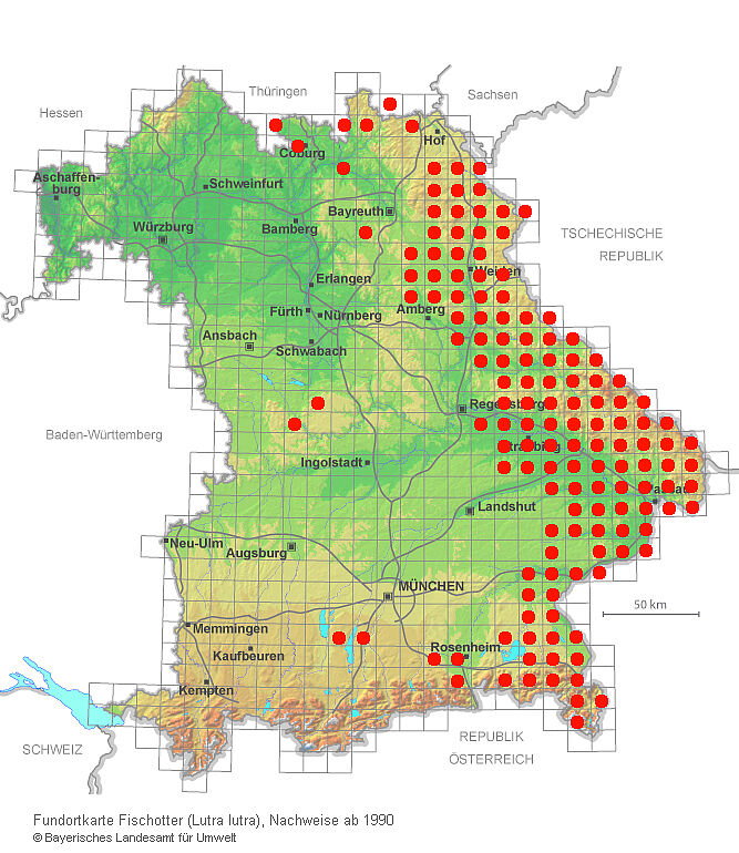 Die Fischotter-Verbreitung beschränkt sich in Bayern fast ausschließlich auf den Osten. (Quelle: Bayerisches Landesamt für Umwelt, Letzter Daten-Import erfolgte am 31.7.2018.)