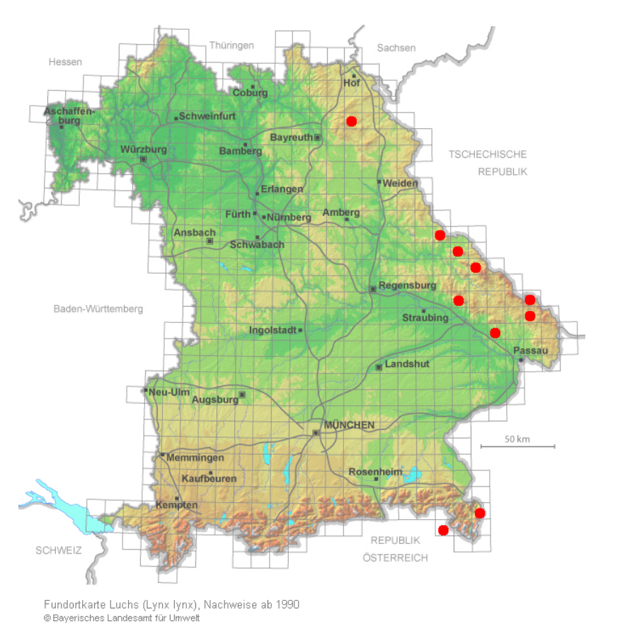 Verbreitung Luchs Bayern: Die Karte zeigt die Luchsvorkommen entlang der tschechischen Grenze sowie im Berchtesgadener Land. (Grafik: Landesamt für Umwelt (LfU), Stand 23.2.2021)