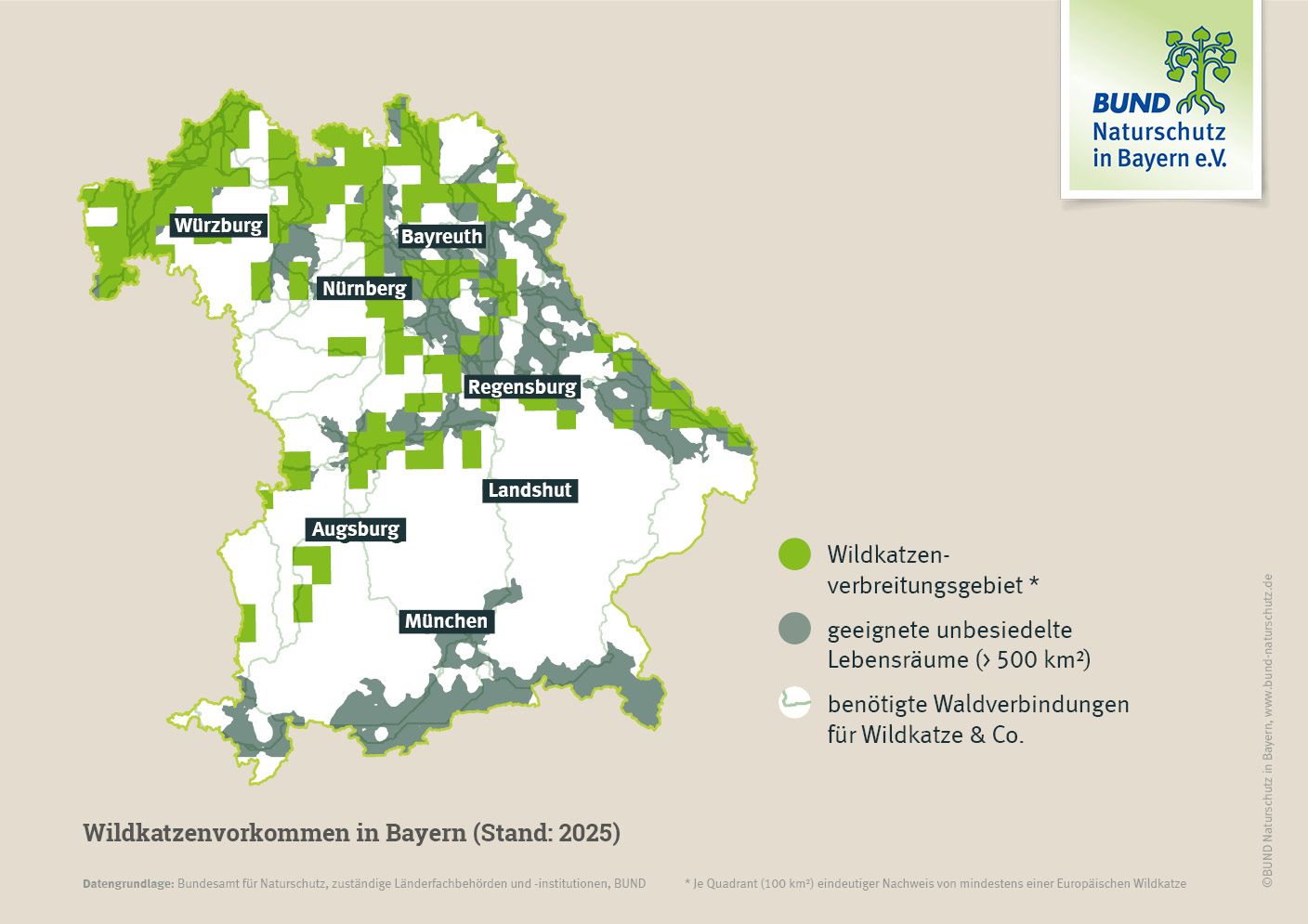 Eine Karte zeigt die Wildkatzenvorkommen in Bayern von 2025, die unbesetzten geeigneten Reviere und die benötigten Waldverbindungen.