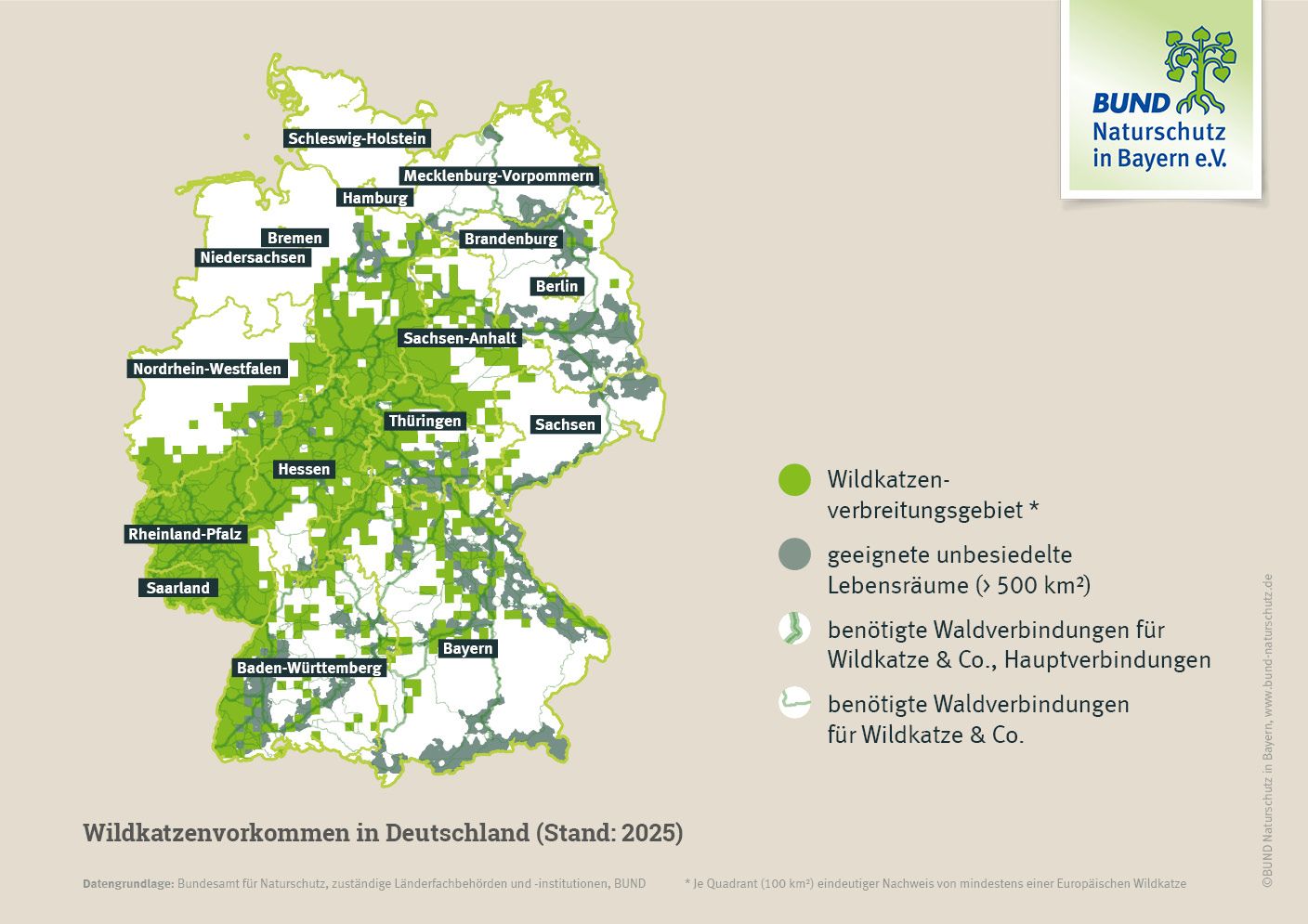 Eine Karte zeigt die Vorkommen der Wildkatze, die unbesetzten geeigneten Regionen und benötigte Waldverbindungen.