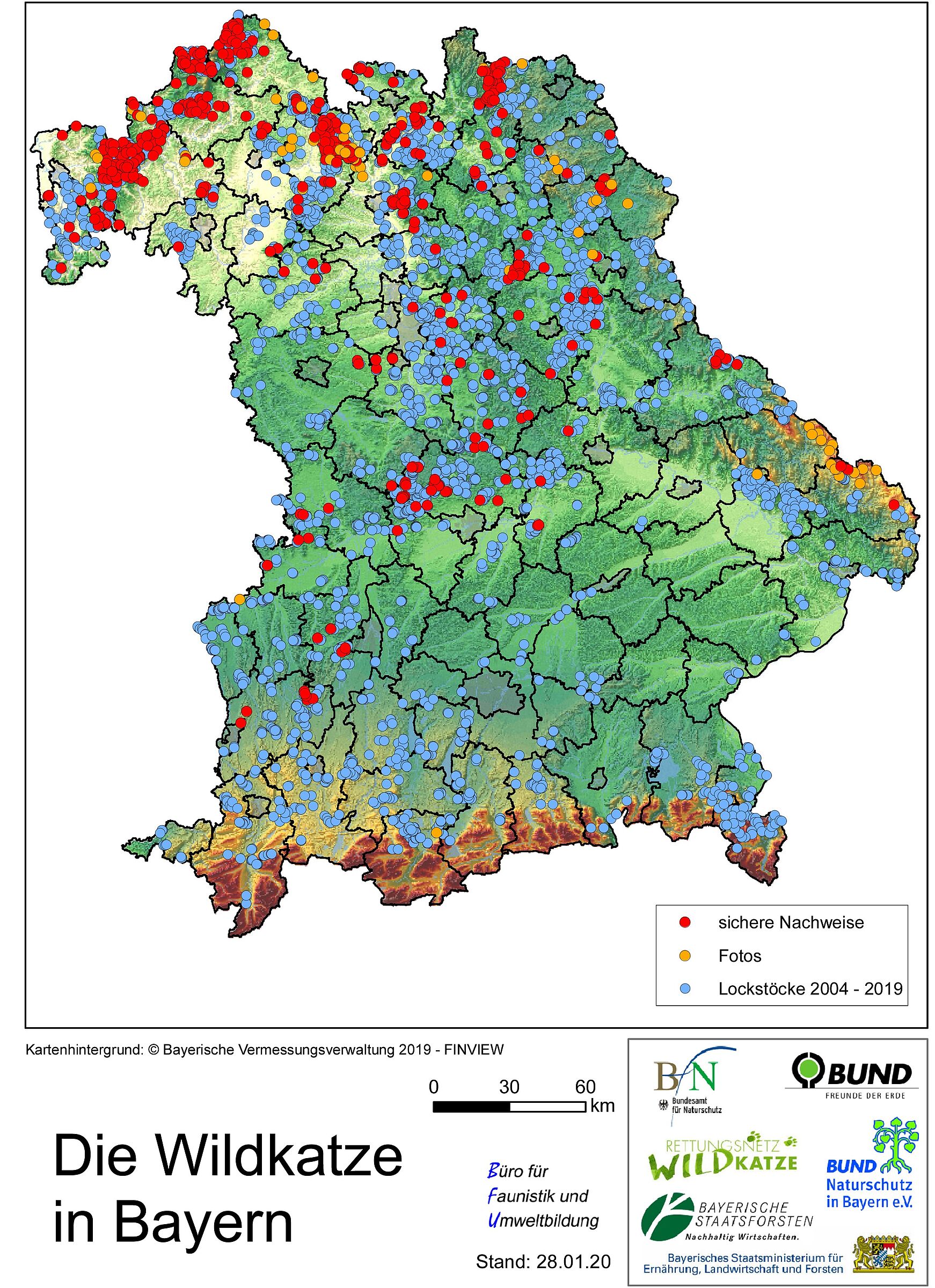 Auswilderung der Wildkatze und ihre Wiederansiedlung wird seit vielen Jahren wissenschaftlich begleitet: Die Karte zeigt die Orte, an denen 2004-2019 Lockstöcke ausgebracht wurden (blau), sichere Nachweise (rot) sowie Aufnahmen von Fotofallen (orange). (Karte: Büro für Faunistik und Umweltbildung)