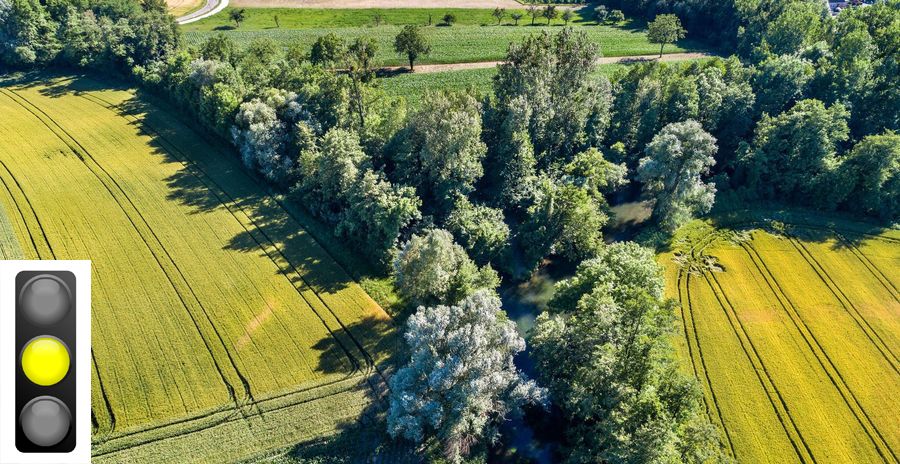 Eine kleinteilige, landwirtschaftlich genutzte Landschaft mit vielen Bäumen und Hecken und eine Ampel, die auf gelb steht. (Foto: leonid Andronow/stock.adobe.com. Ampel: kledesign/stock.adobe.com) 