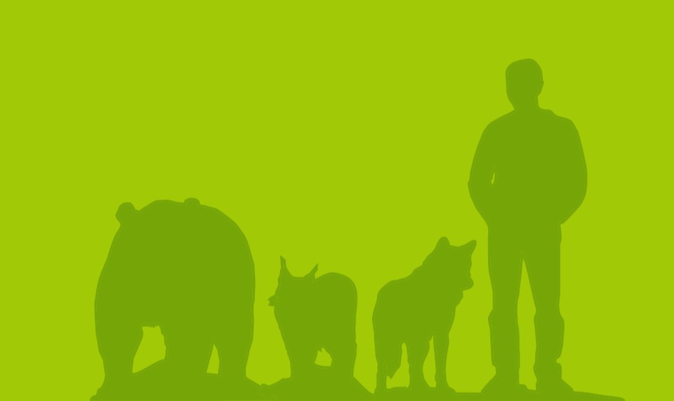 Poster "Die großen Vier: Bär, Luchs, Wolf und Mensch" (BN)