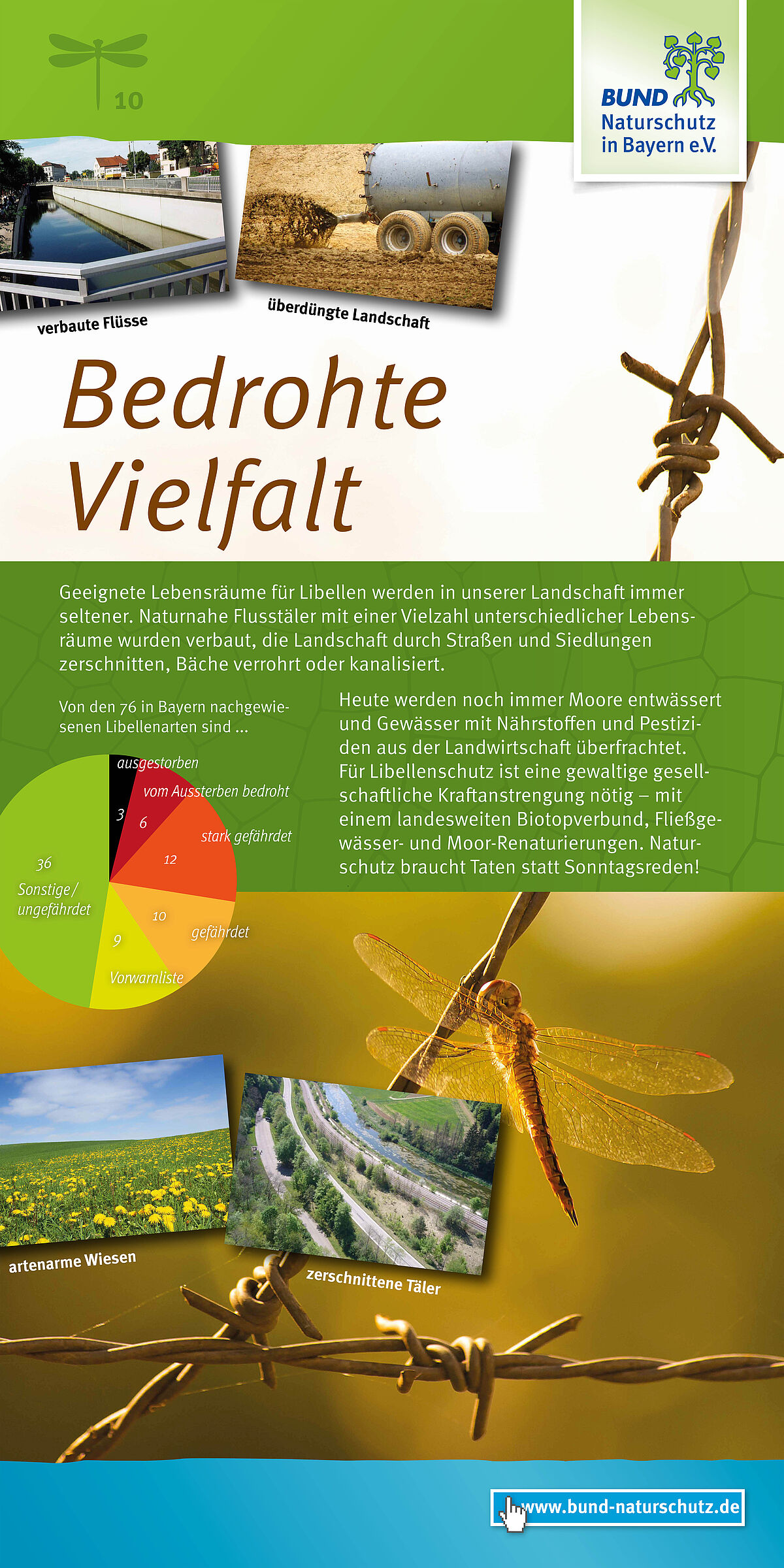 Ausstellung Libellen BUND Naturschutz BN 