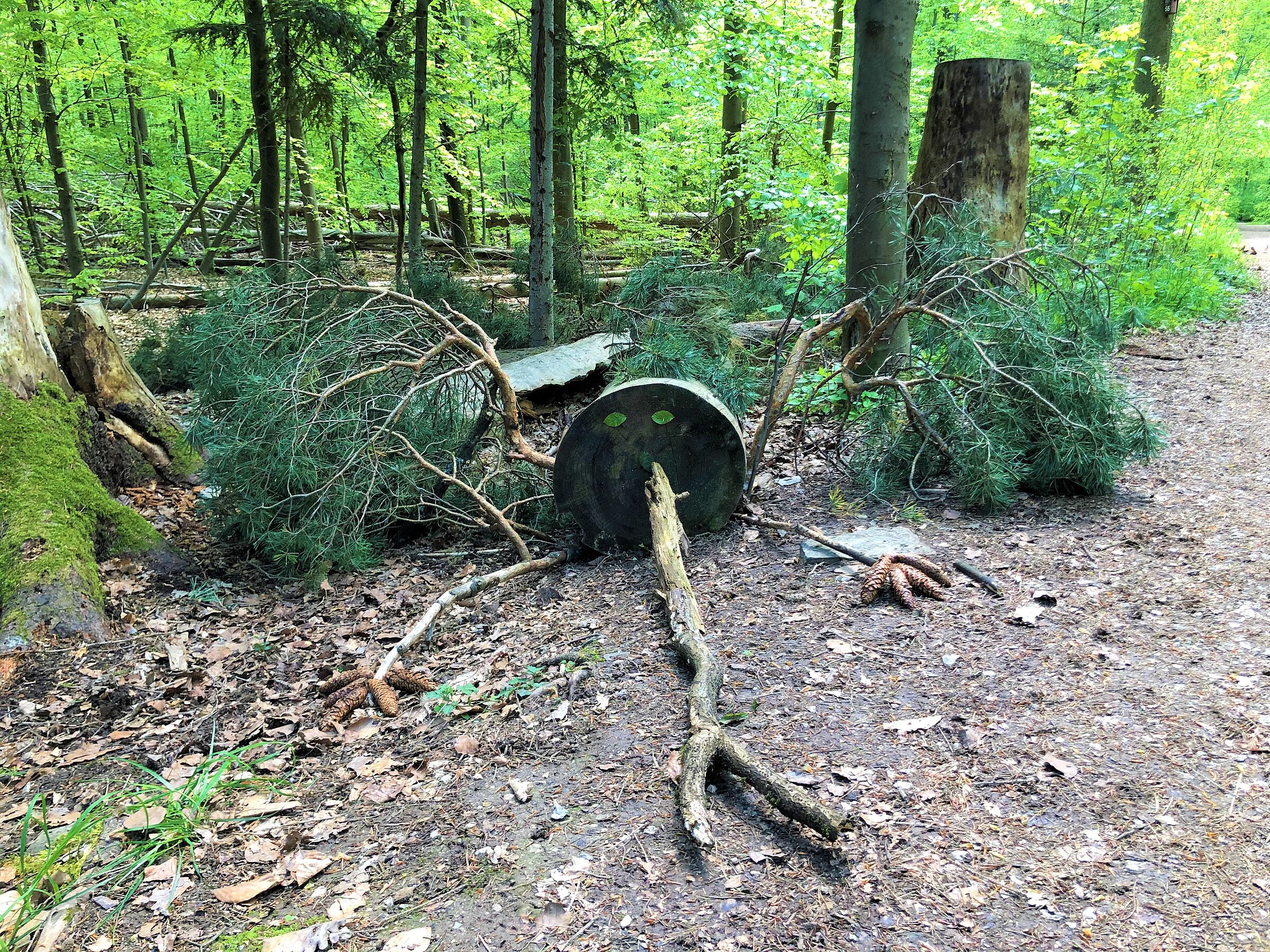 Äste und Zweige bilden ein "Klimatier" (Foto: Inga Beck)