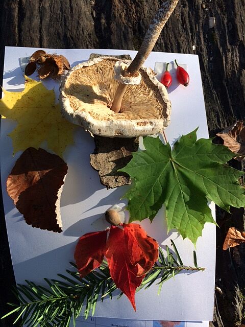 Basteln einer Waldpostkarte (Foto: Inga Beck)