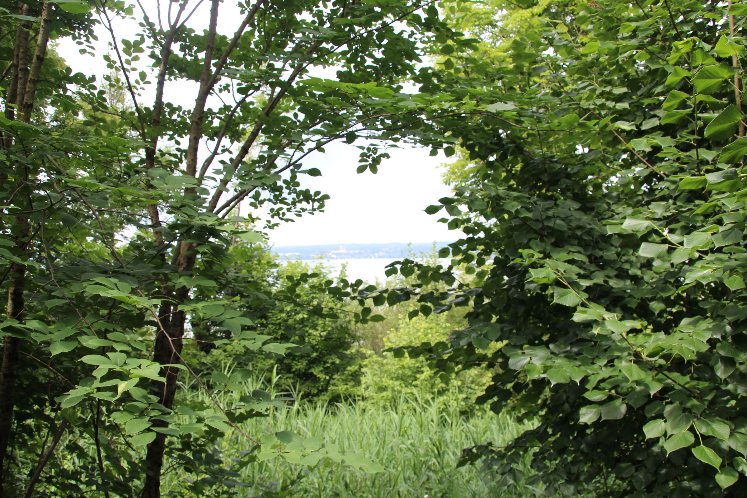 Blick von der Terrasse