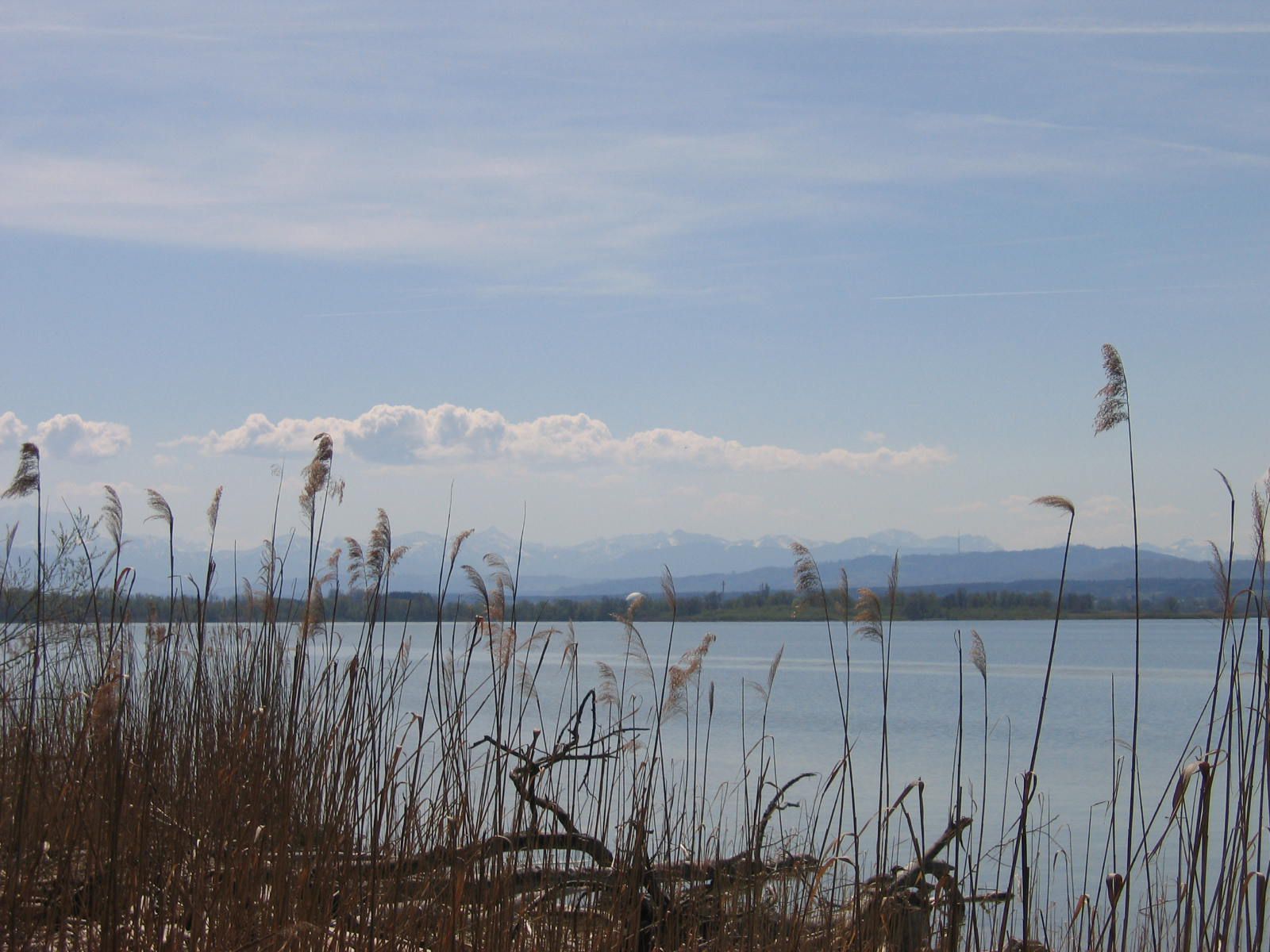 Der Ammersee bei Wartaweil