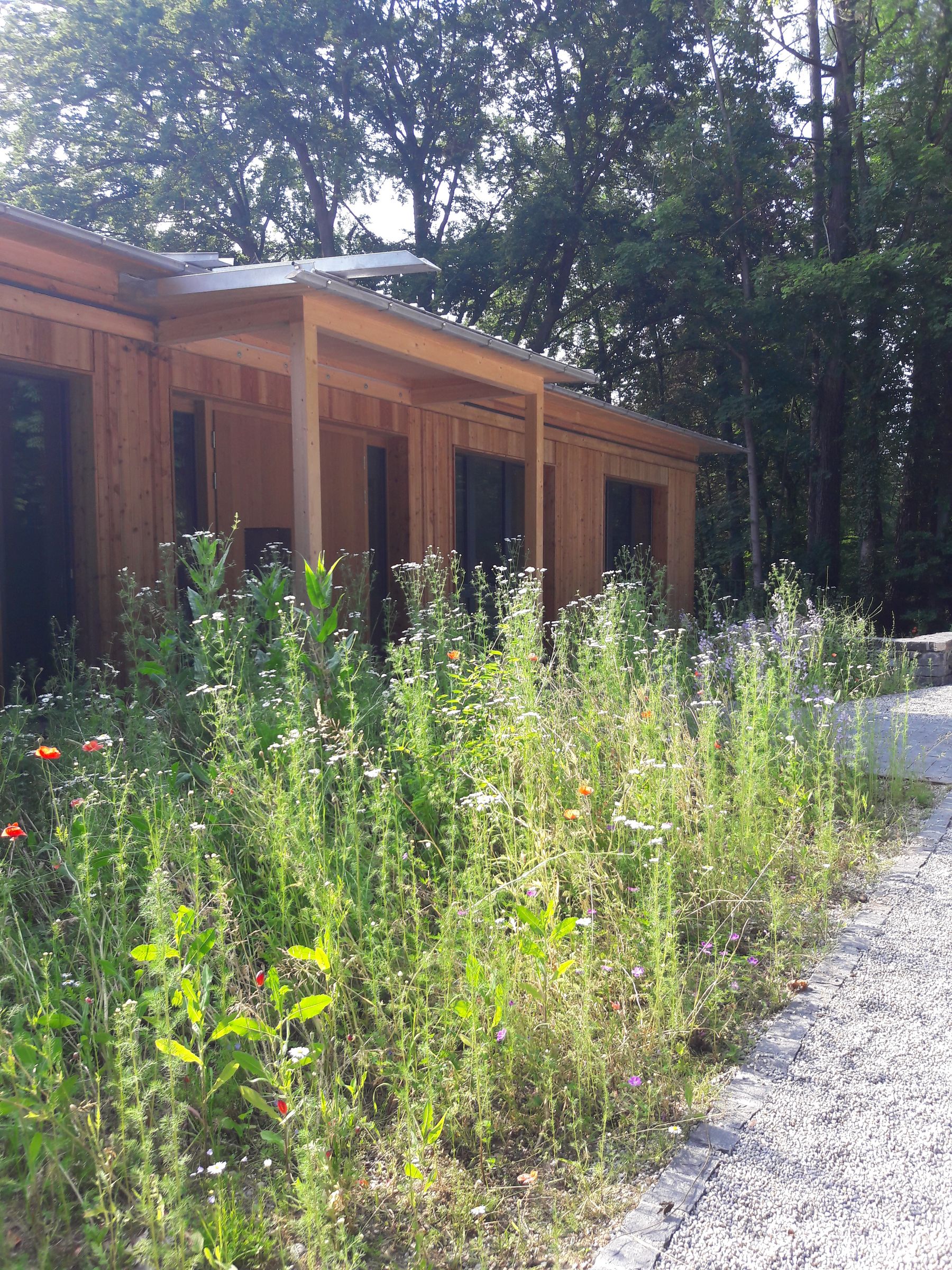 Eingang Seminarhaus (Bild: BN-Archiv) Eingang Seminarhaus (Bild: BN-Archiv)