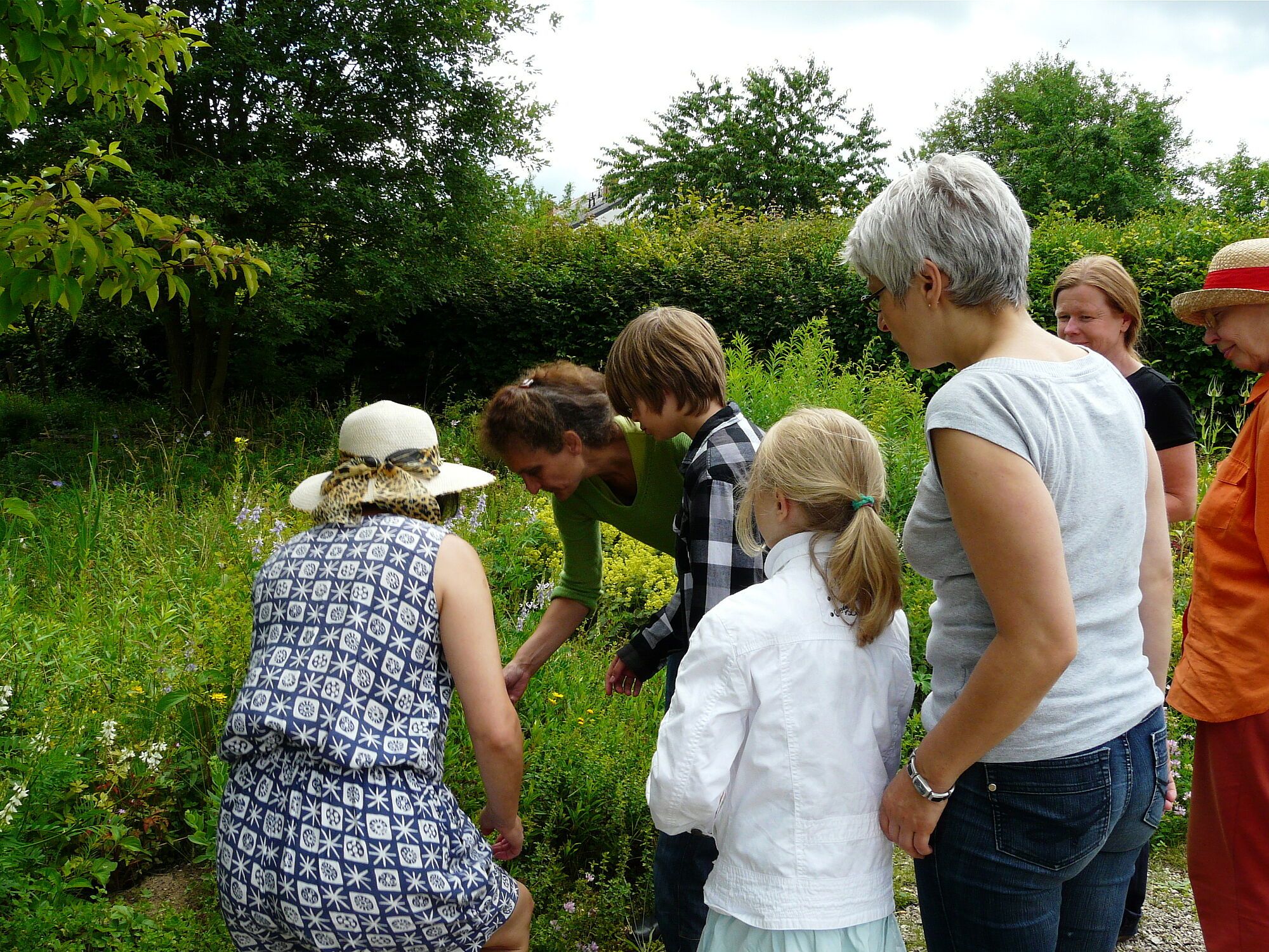 Besucherinnen beim Pflanzenworkshop untersuchen Pflanzen (Bild: Sabine Lessig) Besucherinnen beim Pflanzenworkshop untersuchen Pflanzen (Bild: Sabine Lessig)