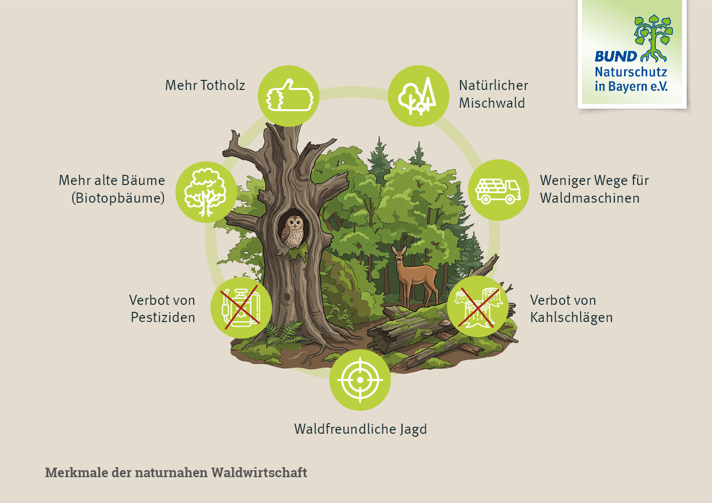 Um ein Waldstück mit einem Reh und einem Biotopbaum herum sind die Merkmale der naturnahen Waldwirtschaft gruppiert.