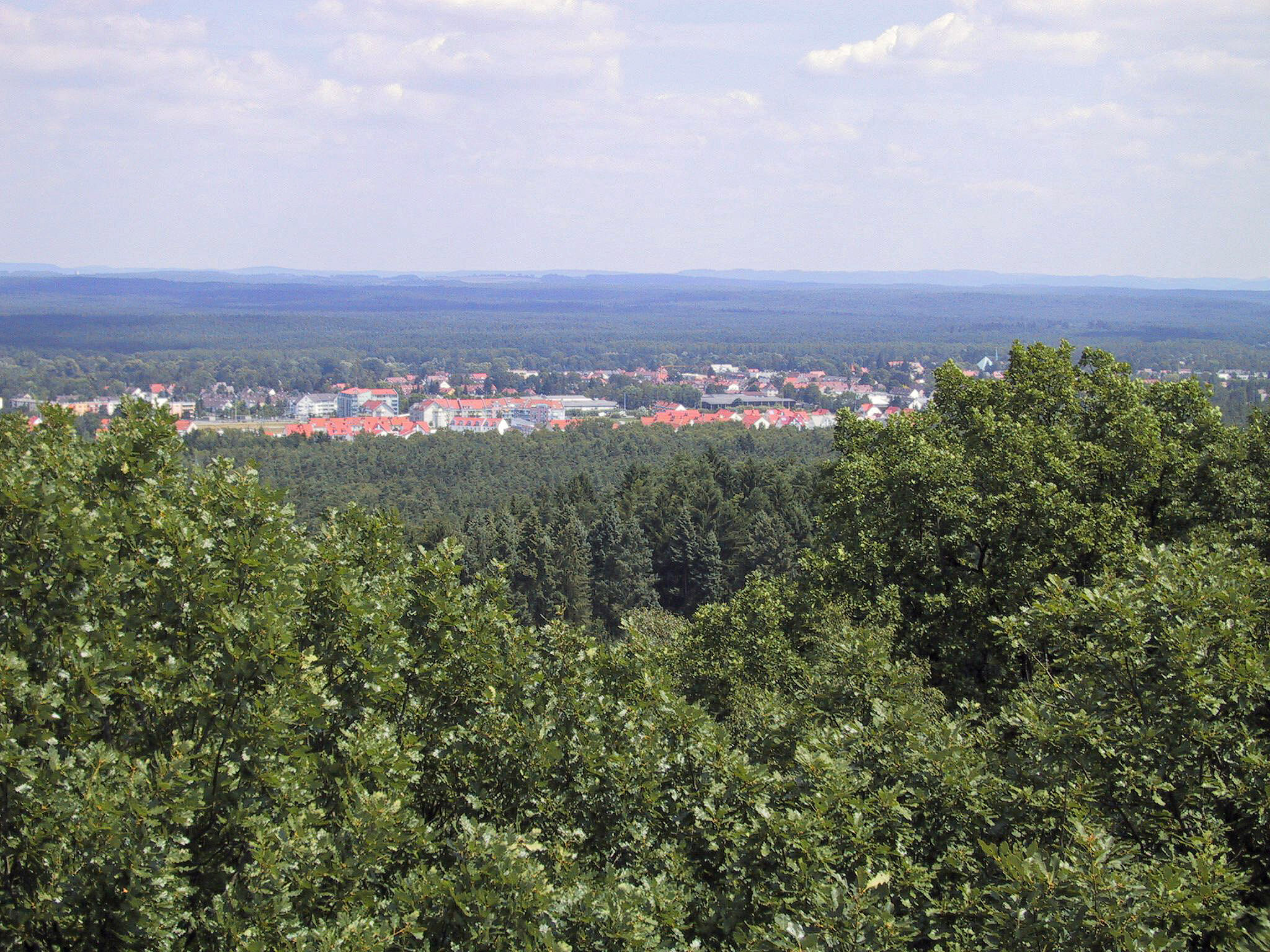 Blick von oben auf einen Laub- und Nadelwald im Vordergrund, eine Ansammlung von Häusern und dahinter wieder Wald bis zum Horizont