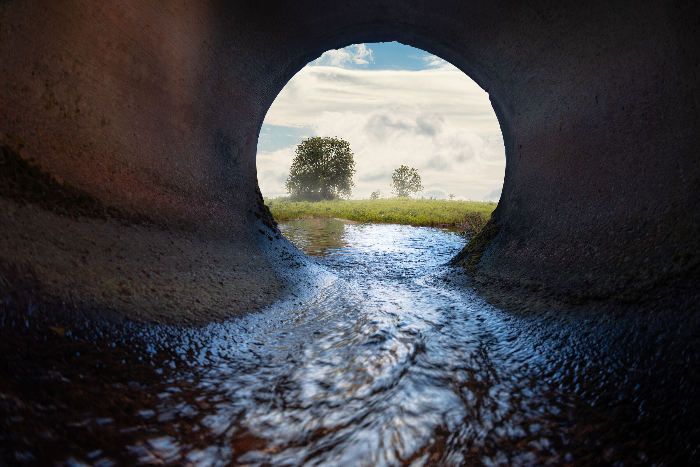 Abwasserrohr an einem Fluss: Das Abwasser-Abgabengesetz sorgte wieder für sauberere Flüsse(Foto: Happyphotons - stock.adobe.com)