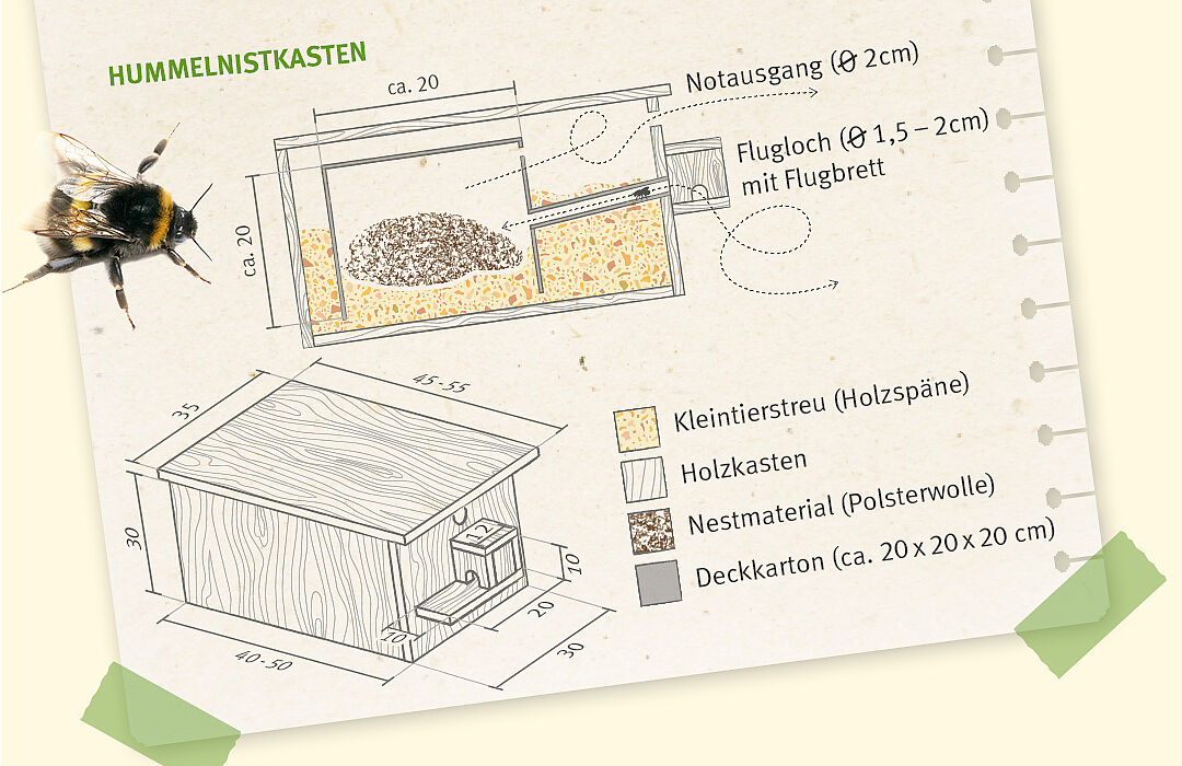 Hummelhaus bauen Baualeitung ür einen Hummelkasten BUND Naturschutz