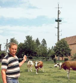 Foto: Krause, Mast neben Stengel-Hof