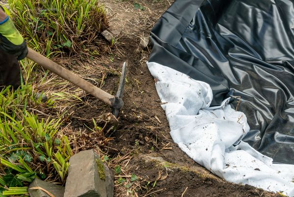 Naturteich im Garten anlegen: Teichboden abdichten (Foto: Olaf Gedanitz/stock.adobe.com) Eine schwarze Folie liegt auf dem Boden eines Erdlochs für einen Gartenteich, drumherum ist braunes Erdreich zu sehen, ein Mann hält eine Spitzhacke in der Hand (Foto: Olaf Gedanitz/stock.adobe.com)