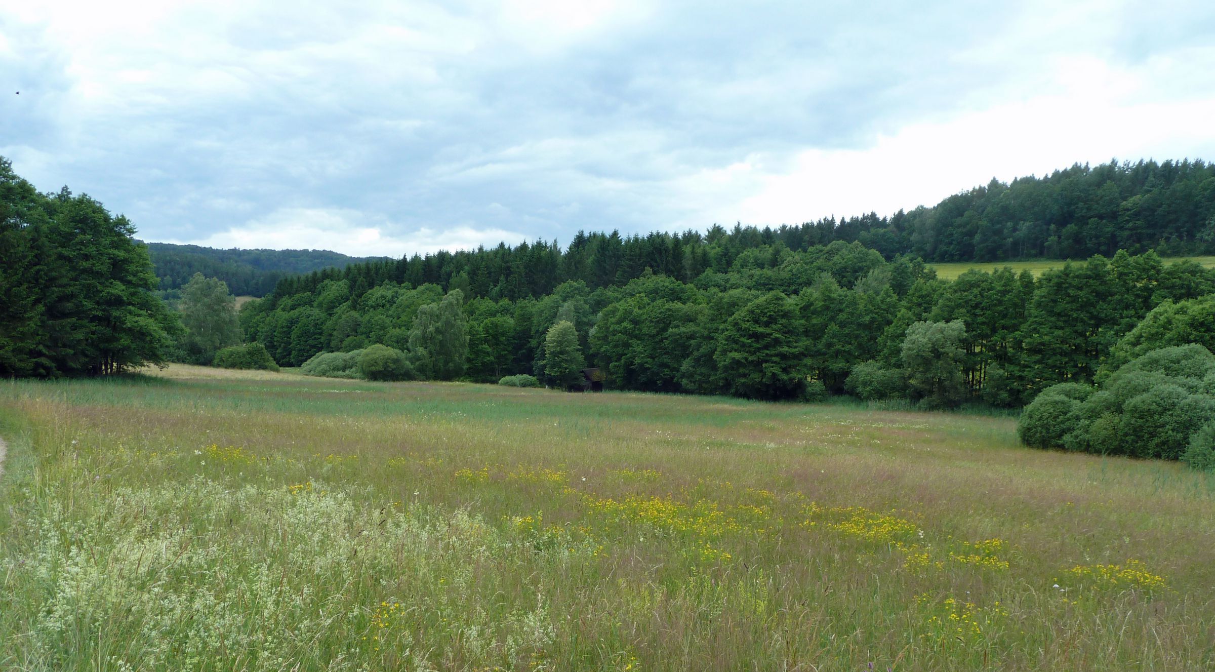 Die Landschaft im Püttlachtal ist geprägt von kleinen Feldern, die von bunten Wildblumen durchzogen sind und dünnen Waldstreifen, die die Felder untertrennen