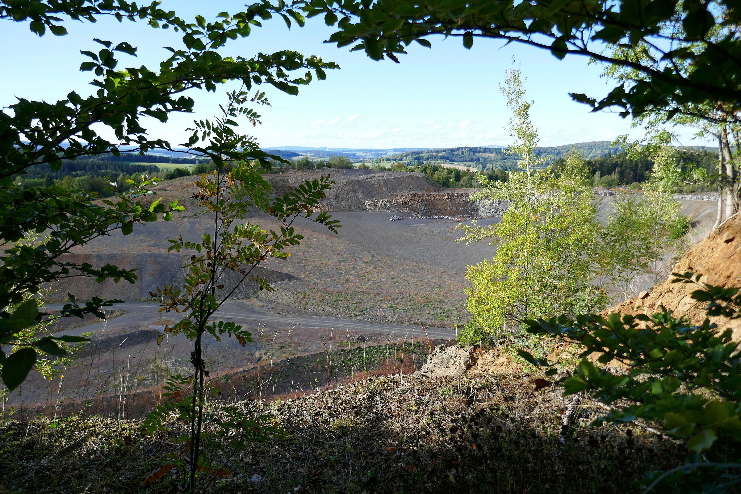 Der Blick vom Hang des Teichelbergs, auf dem noch ein paar Bäume wachsen auf eine trostlose, abgegrabene Landschaft: Ein großes Abbaugebiet, in dem nur vereinzelt Gräser wachsen. (Foto: Winfried Berner)
