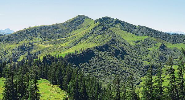 Riedberger Horn (Foto: Oswald Baumeister/Gesellschaft für ökologische Forschung)
