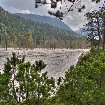 Naturwaldreservat Friedergries, Lkr. Garmisch-Partenkirchen; Foto: Axel Doering