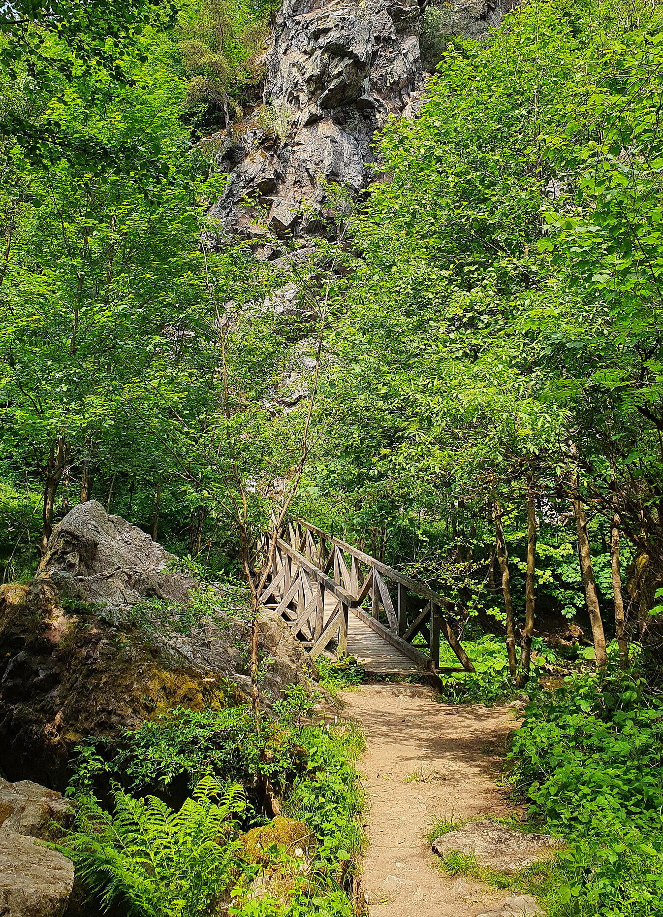 Wanderweg mit Holzbrücke: Die Steinachtalstraße hätte die Idylle zerstört. (Foto: Winfried Berner)