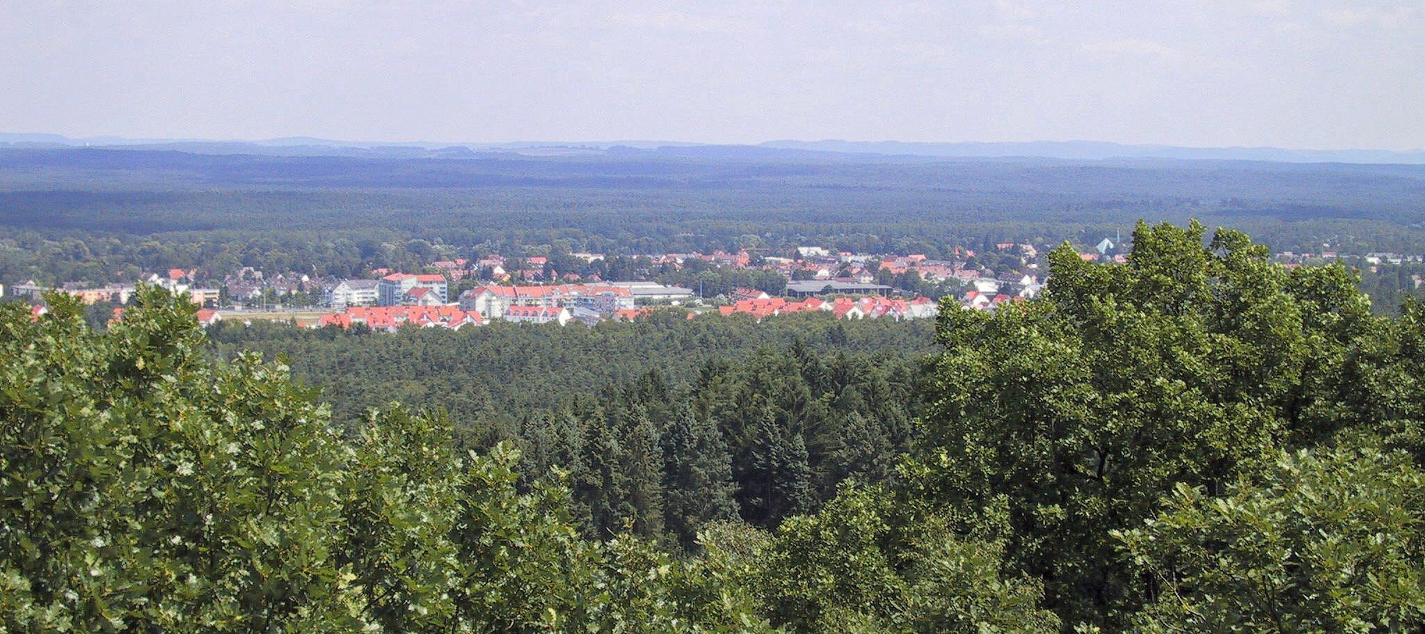 Blick von oben auf einen Laub- und Nadelwald im Vordergrund, eine Ansammlung von Häusern und dahinter wieder Wald bis zum Horizont