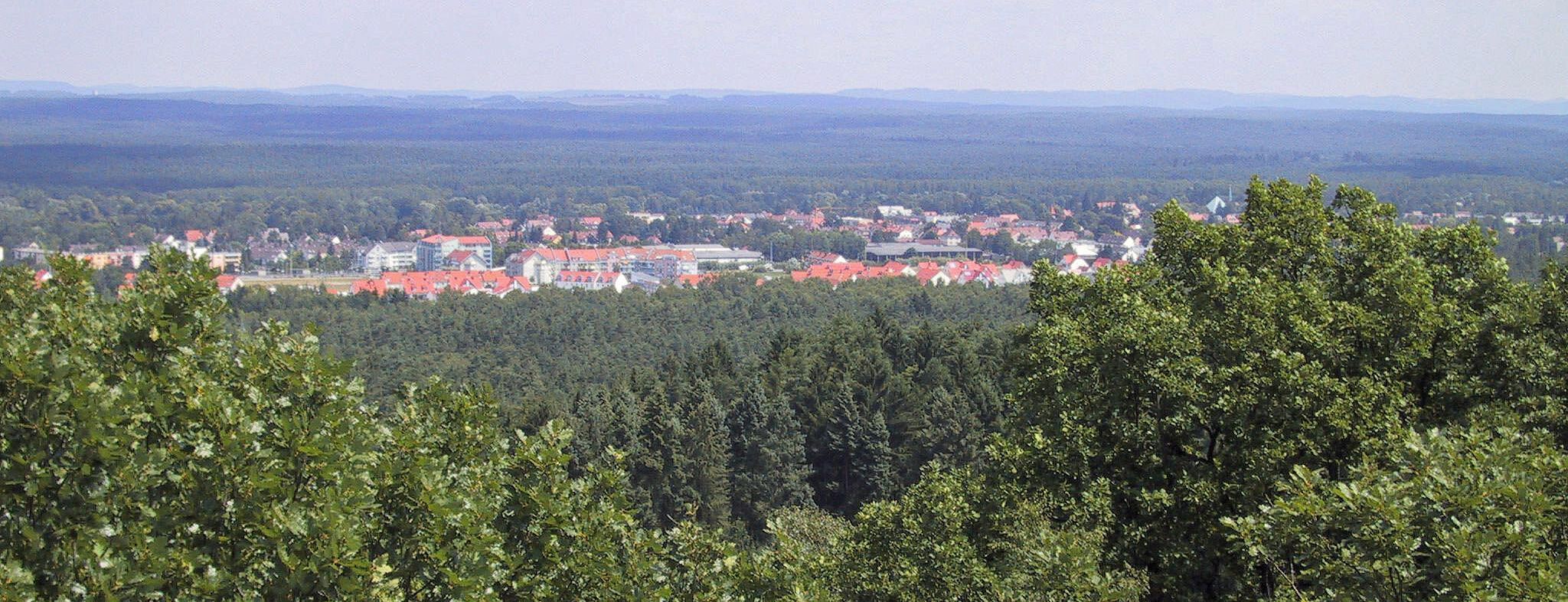 Blick vom Schmausenbuckturm auf den Reichswald und einen Ausläufer der Großstadt (Foto: Tom Konopka). Blick von oben auf einen Laub- und Nadelwald im Vordergrund, eine Ansammlung von Häusern und dahinter wieder Wald bis zum Horizont
