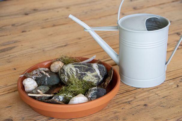Tonuntersetzer mit Steinen und Moos als Insektentränke Foto Sonja Kreil