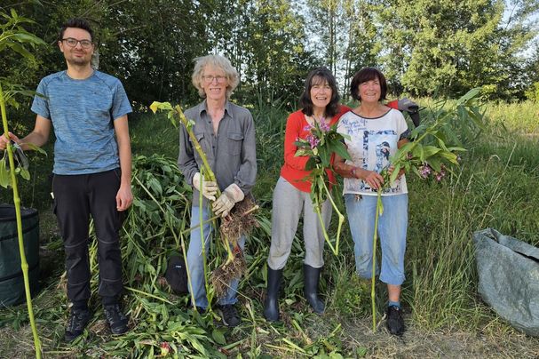 Arbeitsgruppe Springkraut | Bild: Franz Gumplinger
