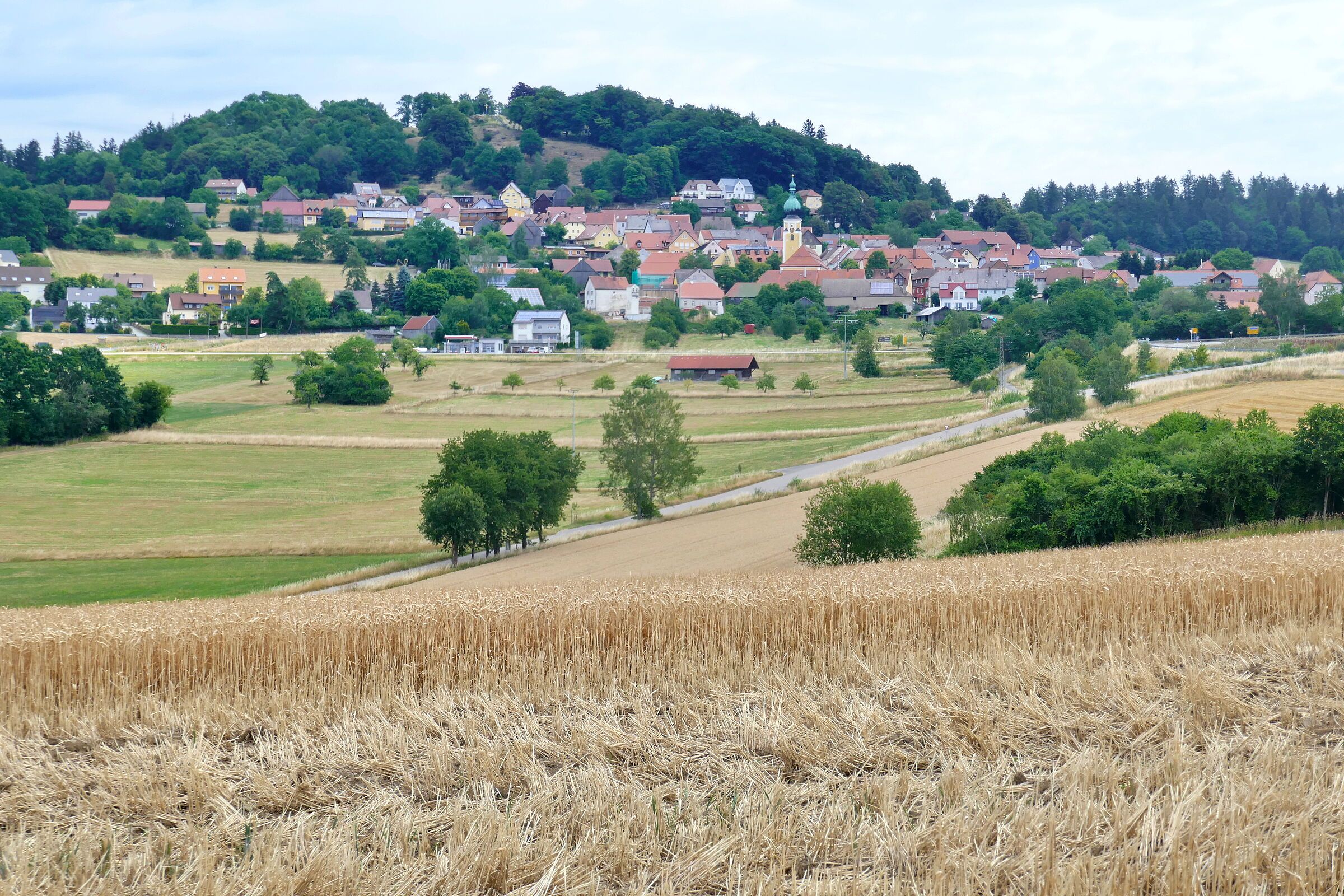 Der Schlossberg Tännesberg konnte durch Beweidung vor der Verbuschung gerettet werden (Foto: Winfried Berner) Der Ort Tännesberg vor dem Schlossberg, einem Hügel, auf dem ein paar Bäume wachsen