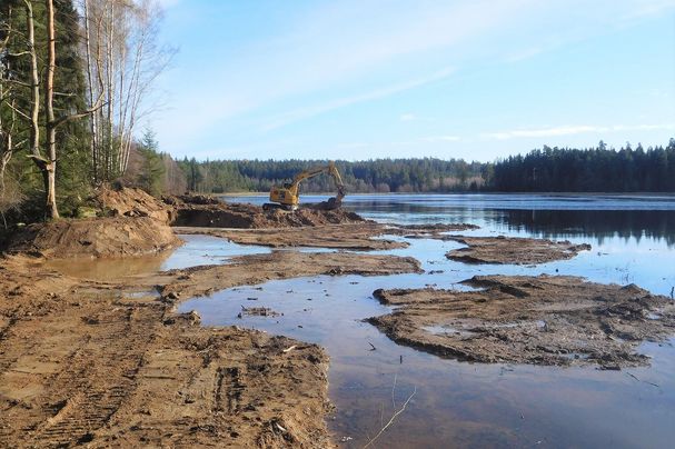 Breiter Teich bei Selb Breiter Teich Selb Grünes Band Fichtelgebirge