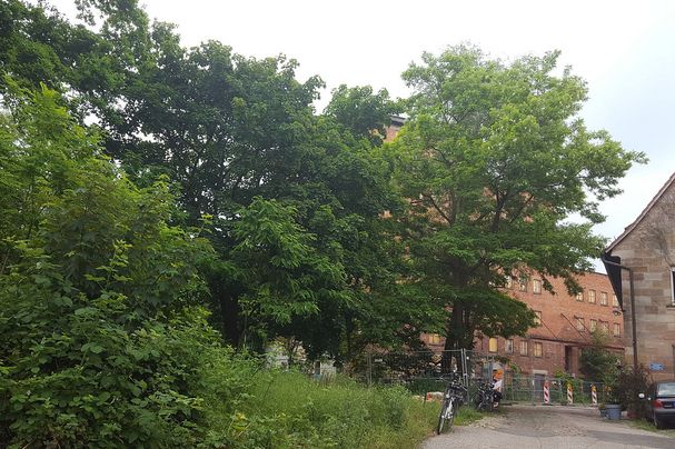 Wolfsgruber Mühle Fürth
