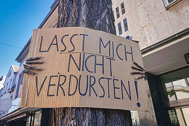 Stadtbaum_Eric_AdobeStock