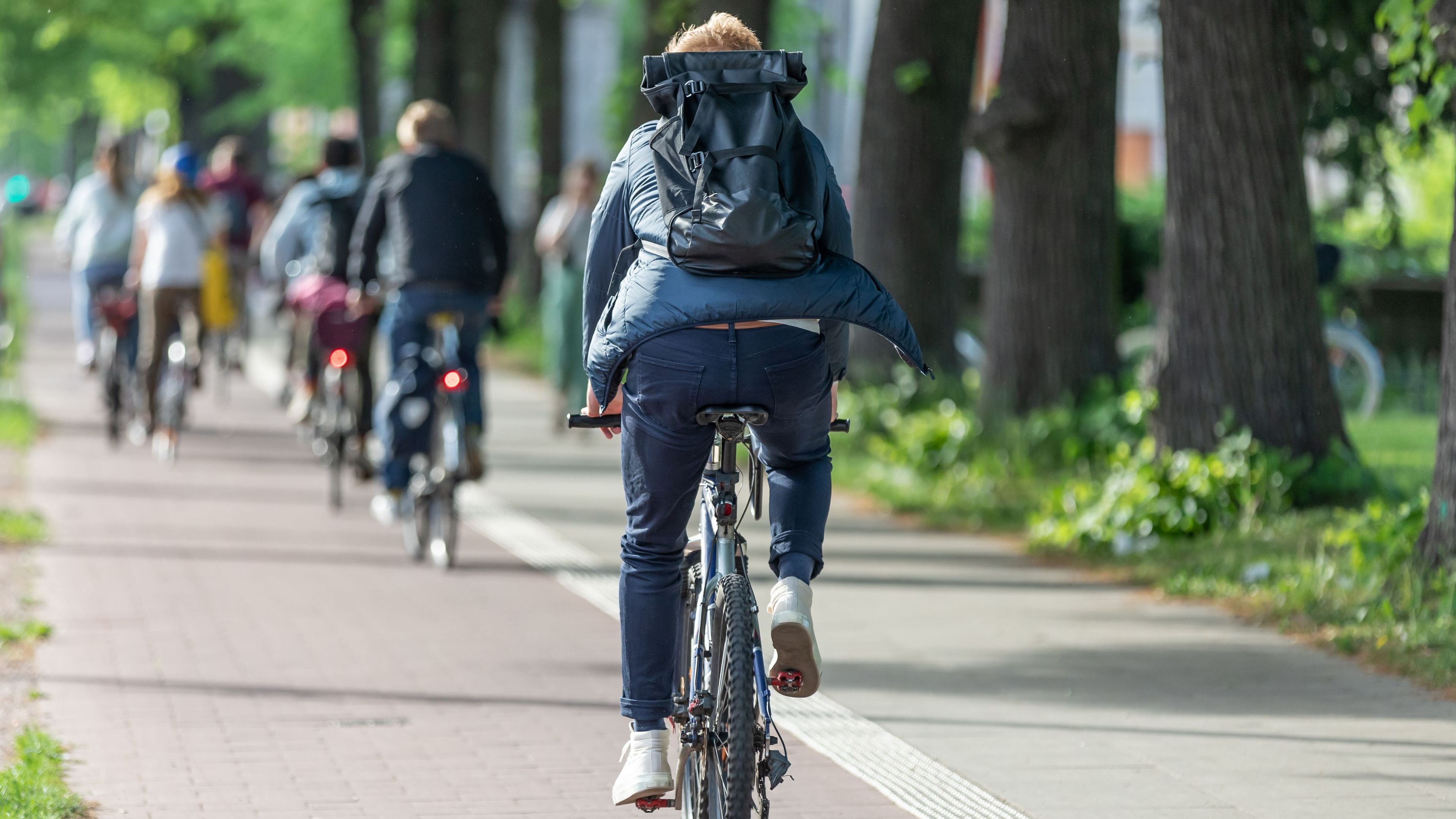 Ein durchgehendes, gut ausgebautes Radnetz motiviert dazu, aufs Fahrrad umzusteigen. Gut geplante Radwege schaffen dabei sichere und attraktive Verbindungen, ohne wertvolle Lebensräume zu beeinträchtigen. (Foto: Kara/stock.adobe.com) Leitlinien zum Radwegebau: Fahrradfahrer auf einem von Bäumen begleiteten Radweg in der Stadt